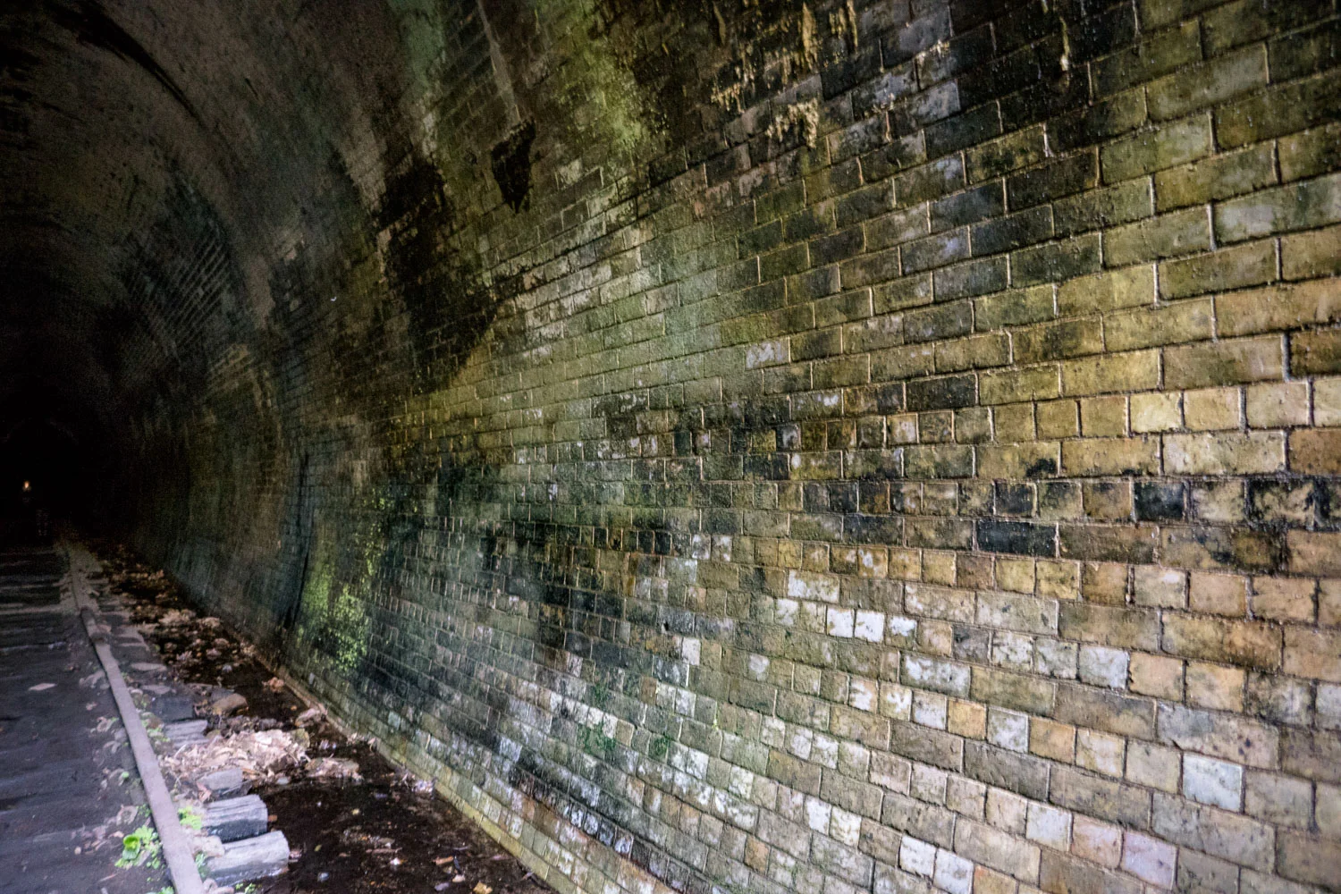 ©_Watson_20180929_86308_LR.jpg