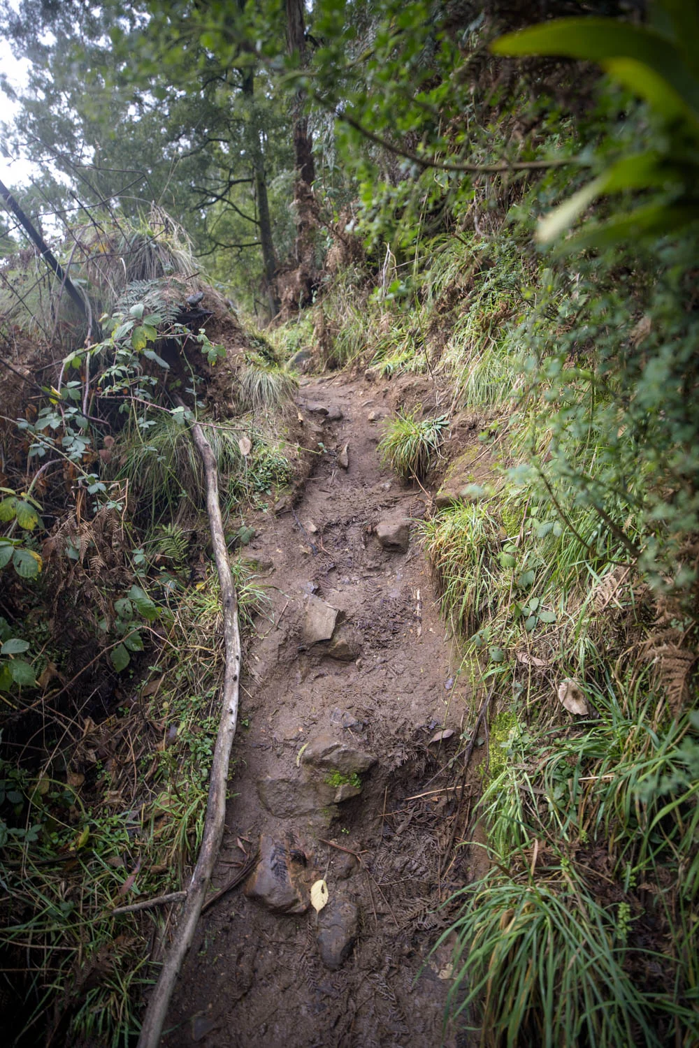 One of the paths to no where. Thinking there might be a better composition, paths such as this are scattered throughout the location.