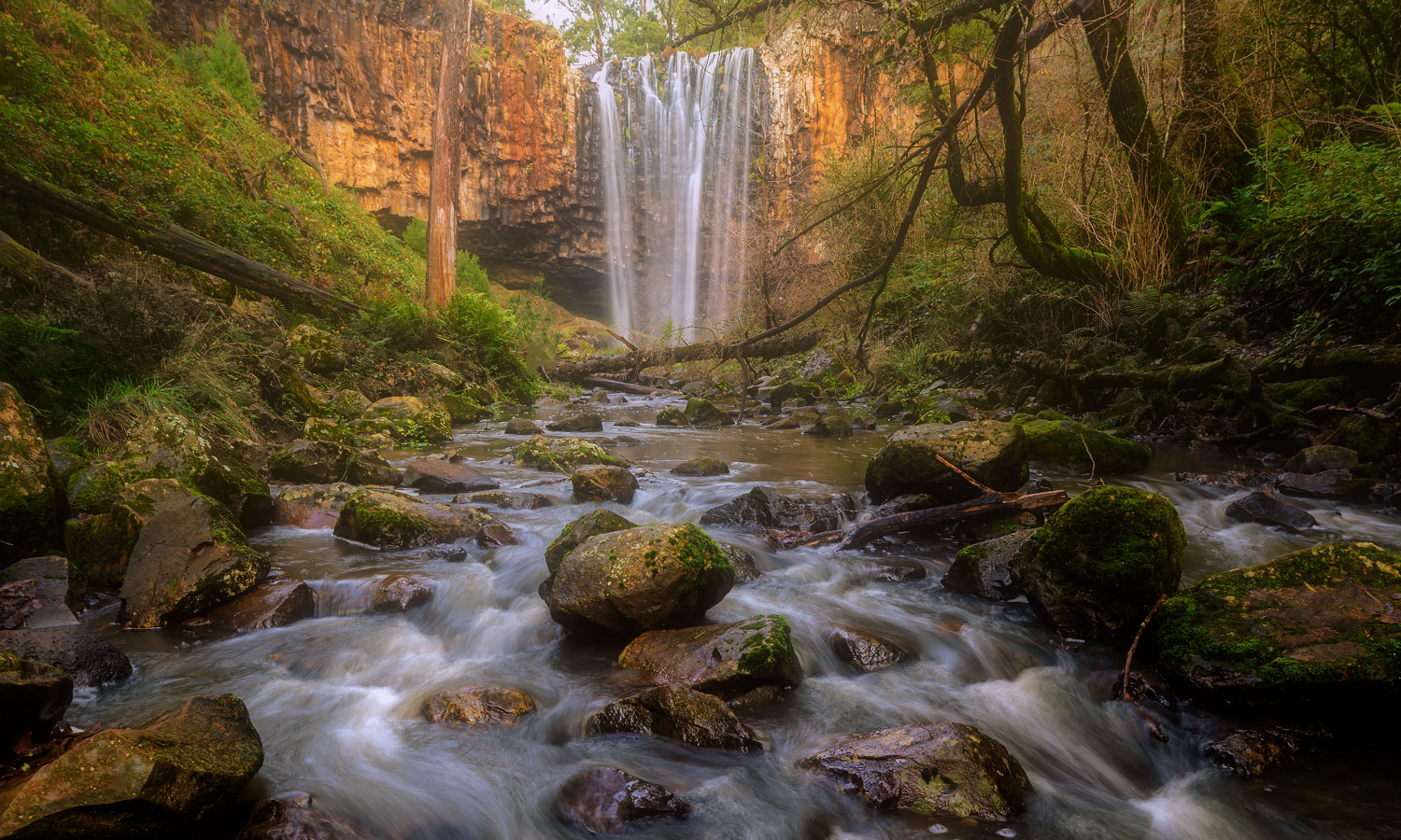 Watson_20180618_75216-Edit1.jpg