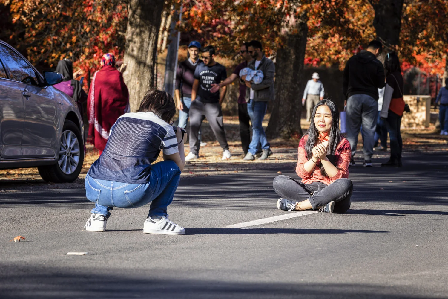 Sitting in the middle of the road with an autumn leaf in hand.