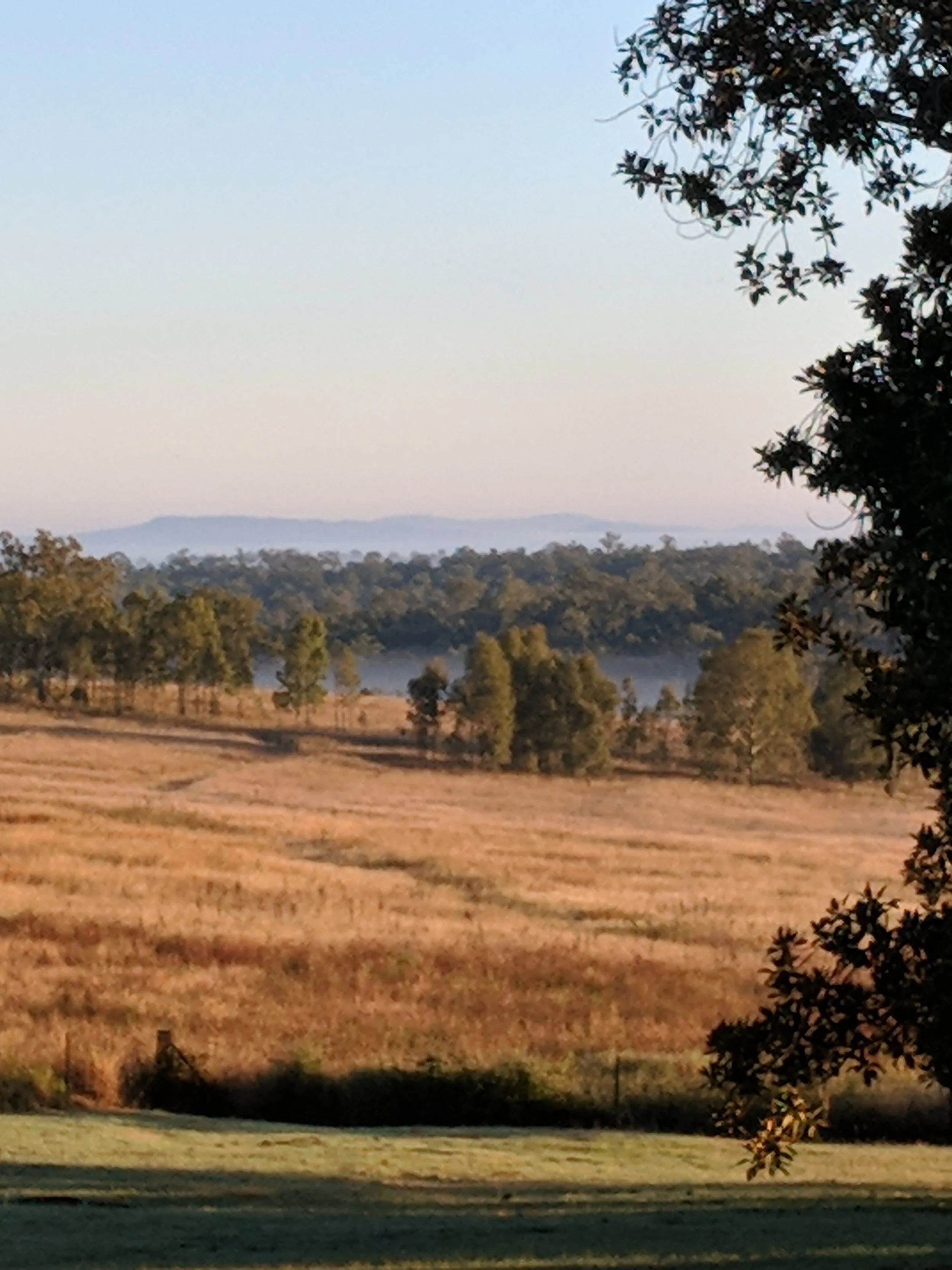 MVIMG_20180426_064123.jpg