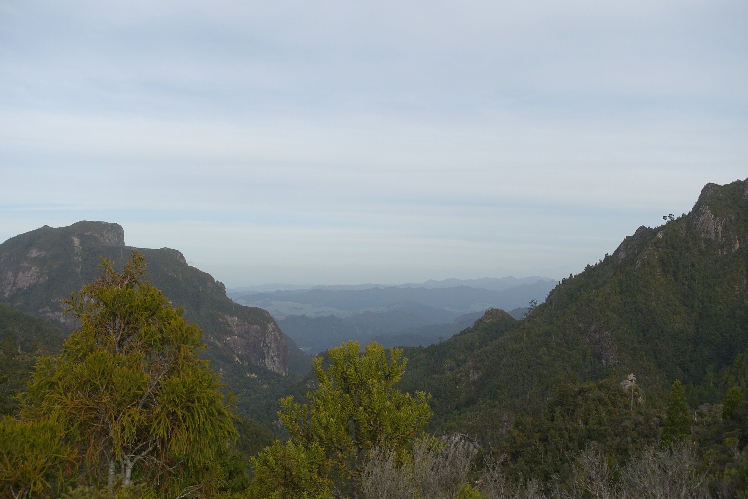 DSC09997.jpeg