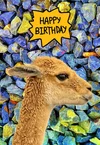 Llama Printable Birthday Cards — PRINTBIRTHDAY.CARDS