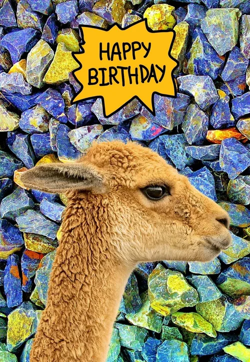 Llama Printable Birthday Cards — PRINTBIRTHDAY.CARDS