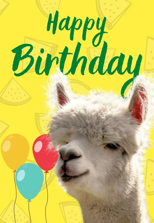 Llama Printable Birthday Cards — PRINTBIRTHDAY.CARDS
