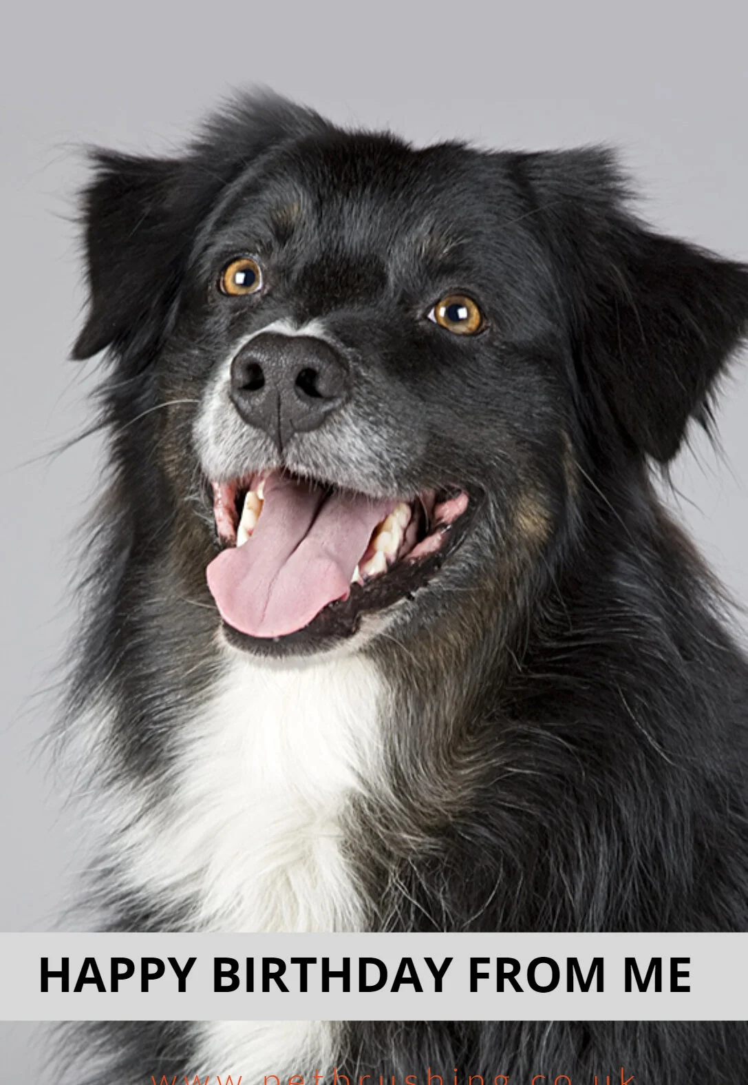 20 Adorable Dog Printable Birthday Cards (free) — PRINTBIRTHDAY.CARDS