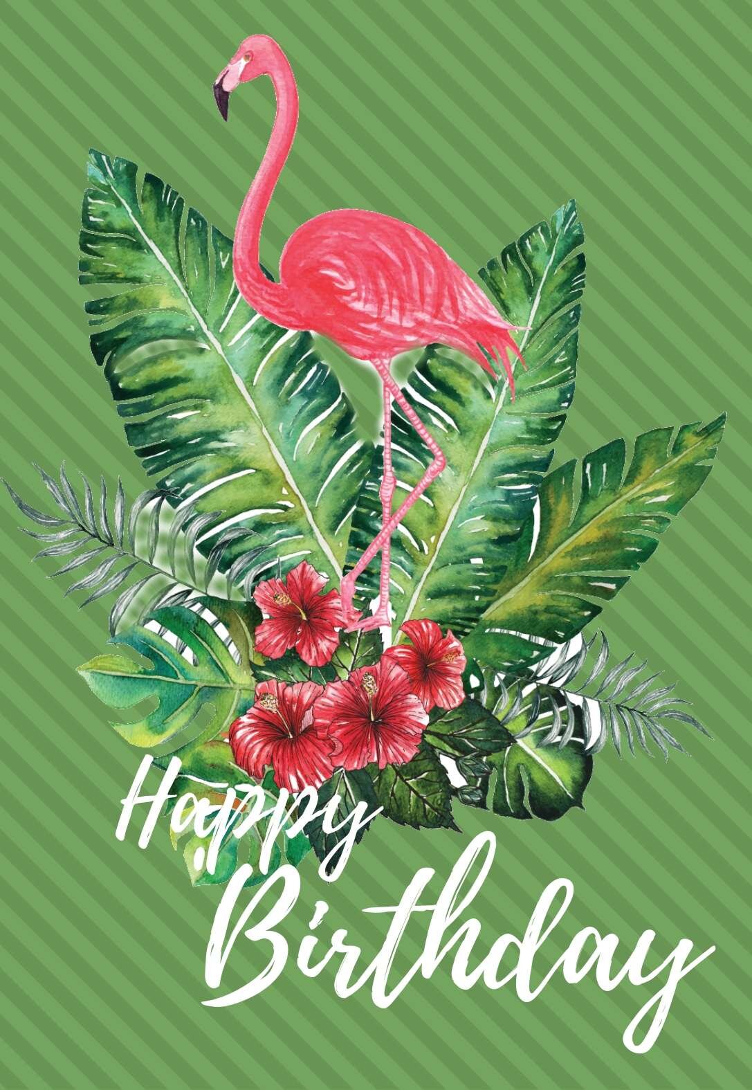 flamingo printable birthday cards printbirthdaycards