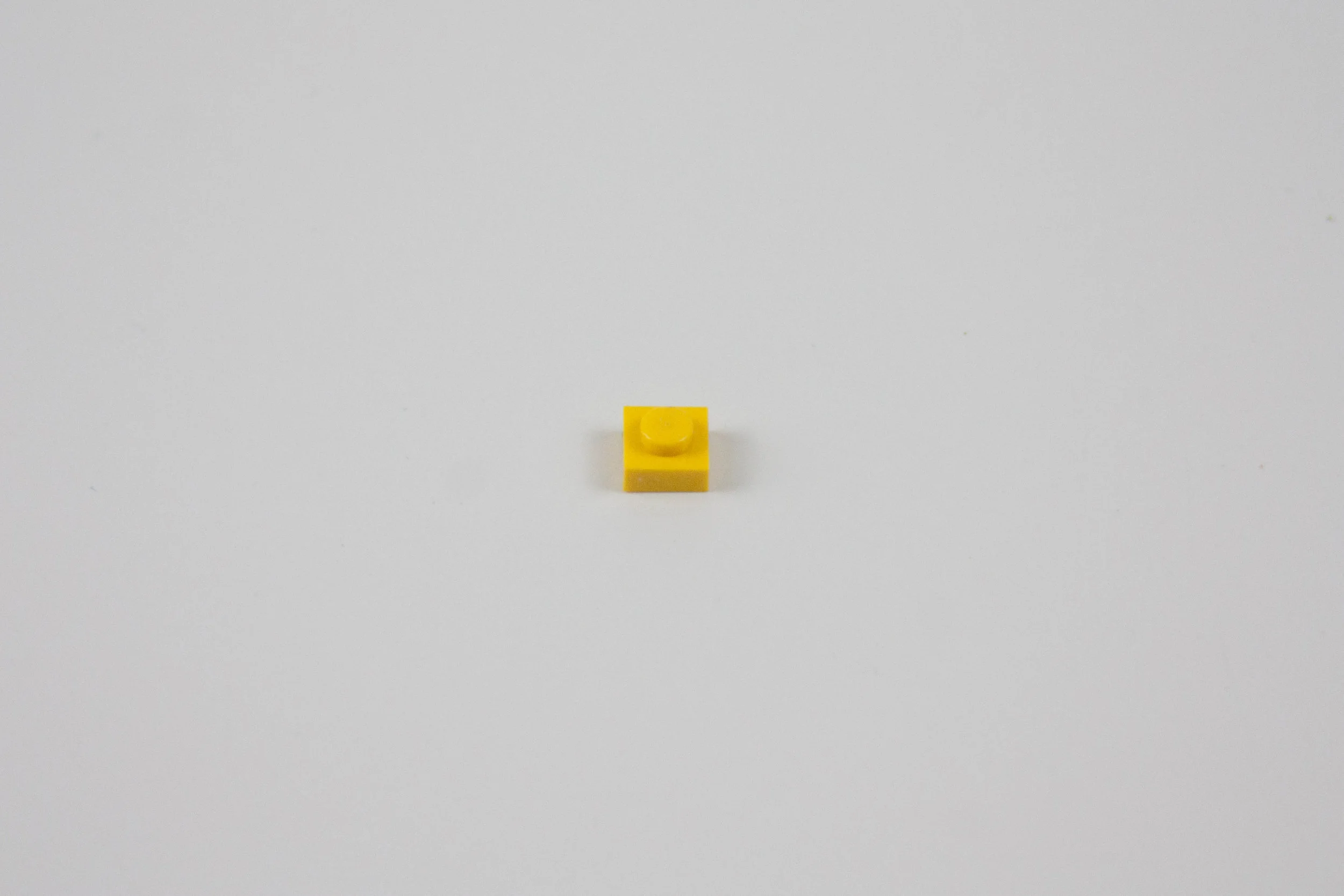 0106 C.jpg