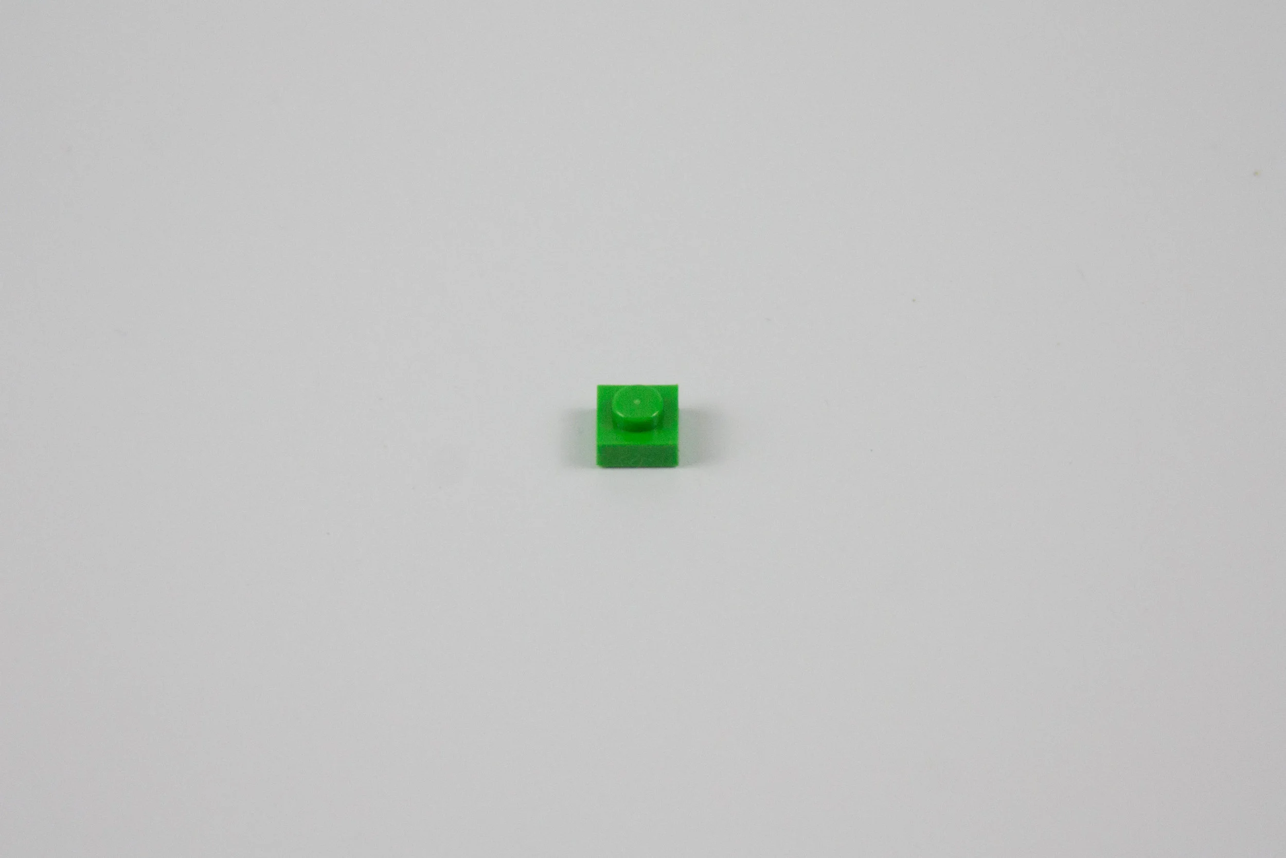 0127 C.jpg