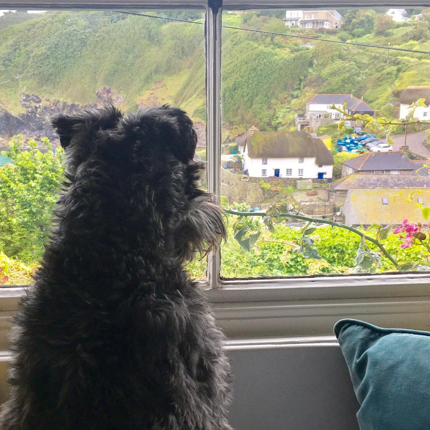 #throwbackthursday #cornwall #roomwithaview #badfergus