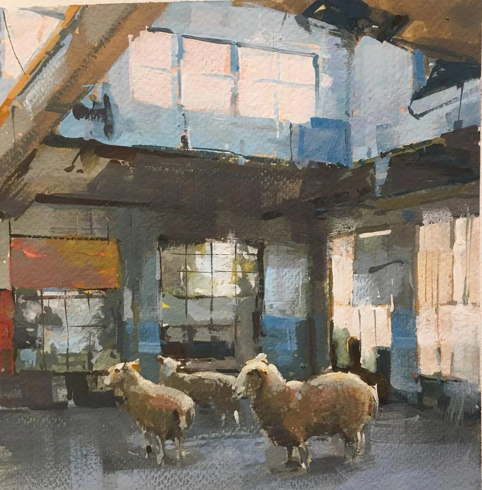 Sheep study