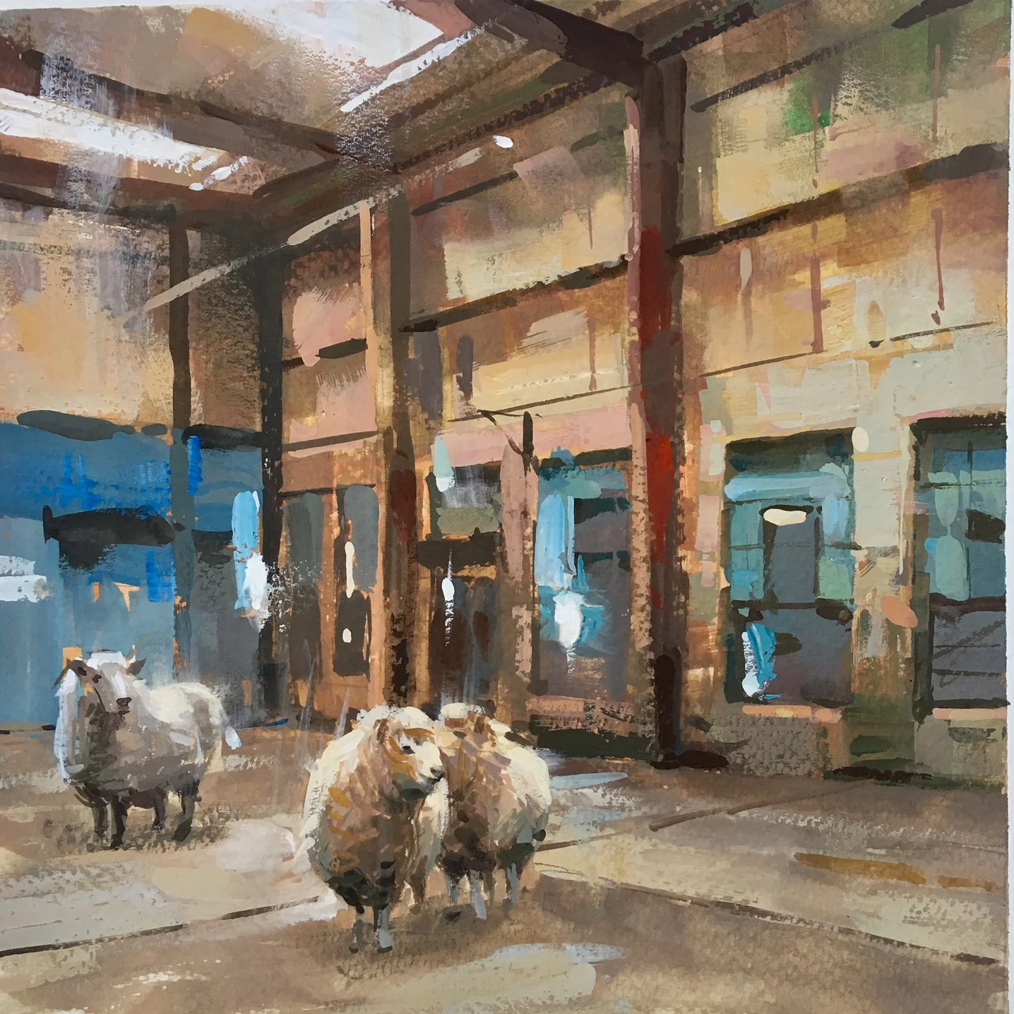 sheepish study
