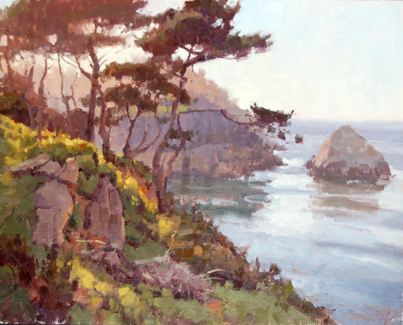 Pt lobos light