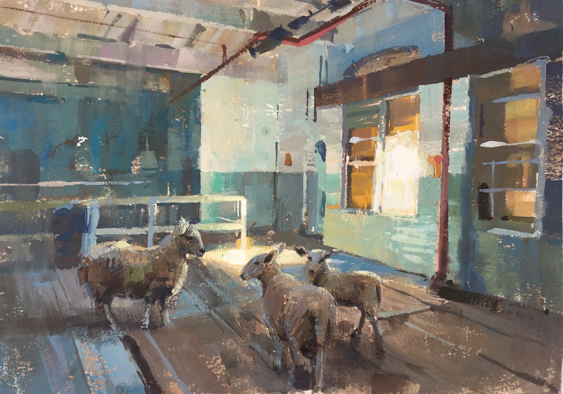 sheep study 3