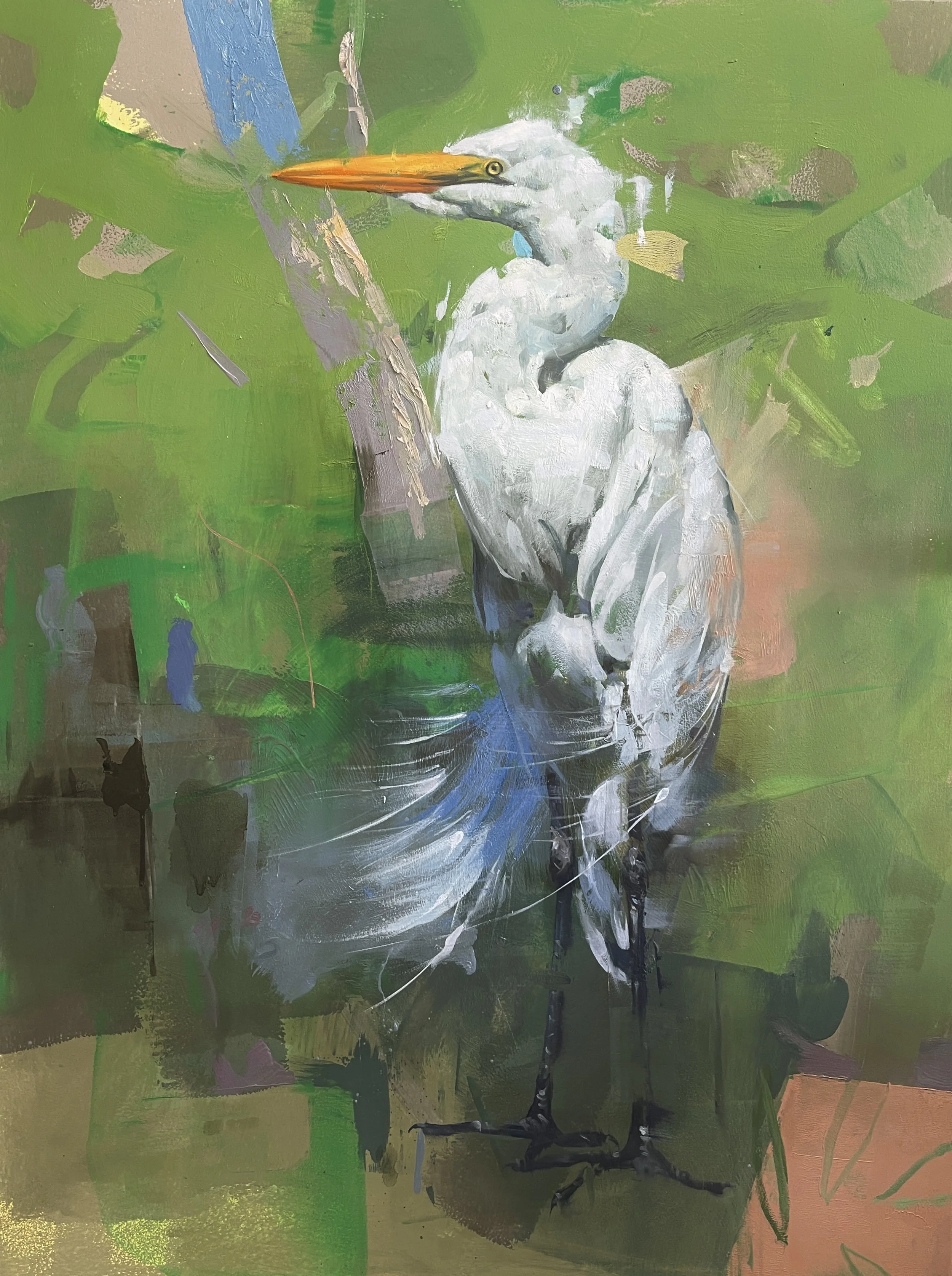 White Egret