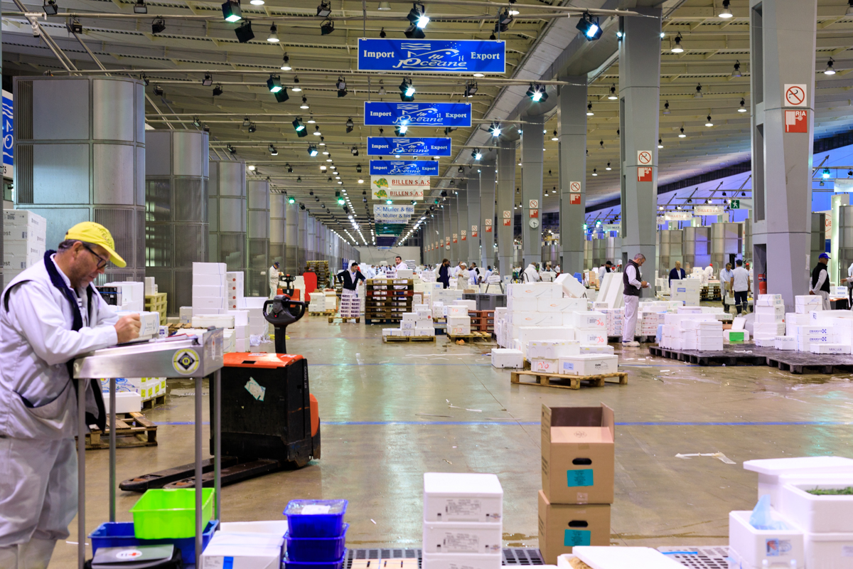 Rungis Marché International Paris-58.jpg