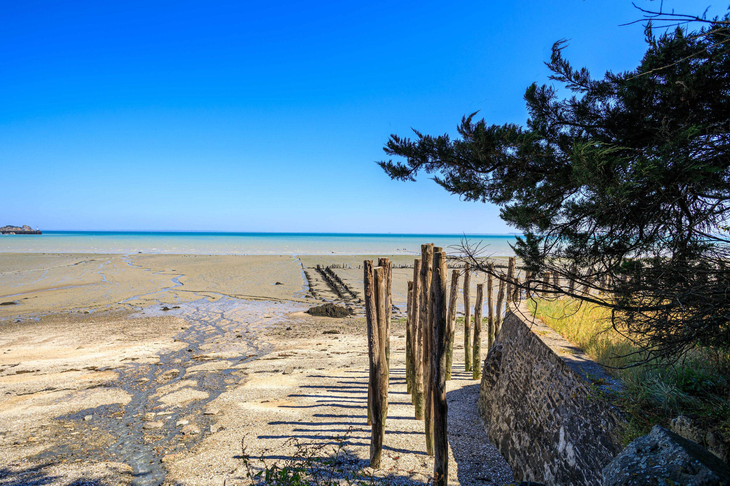 Saint-Kerber Cancale oester | Hollandvis-21.jpg