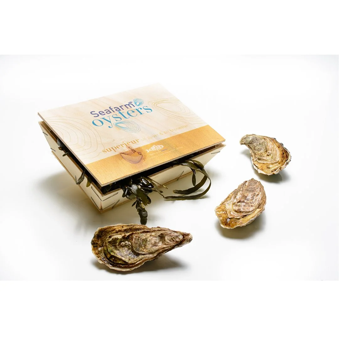 𝐎𝐞𝐬𝐭𝐞𝐫𝐬 𝐬𝐮𝐩𝐞𝐫𝐢𝐞𝐮𝐫 🦪
Een geselecteerde oester van de beste oesterpercelen. Goed gevulde oester, mede dankzij de voeding met algen. De smaak heeft een vleugje citrus. De schelp is hol van vorm met een lichte groene gloed. 

#hollandvis