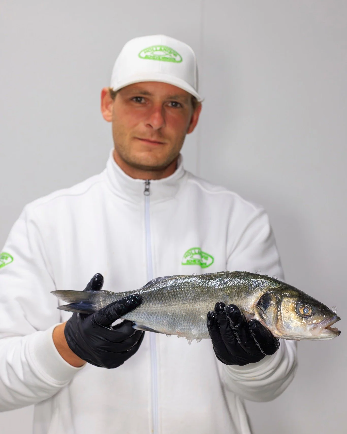𝐖𝐢𝐥𝐝𝐞 𝐳𝐞𝐞𝐛𝐚𝐚𝐫𝐬 🎣

#hollandvis #hollandvisscheveningen #noordzeevis #vis #vishandel #groothandel #scheveningen #duurzamevis #visrecepten