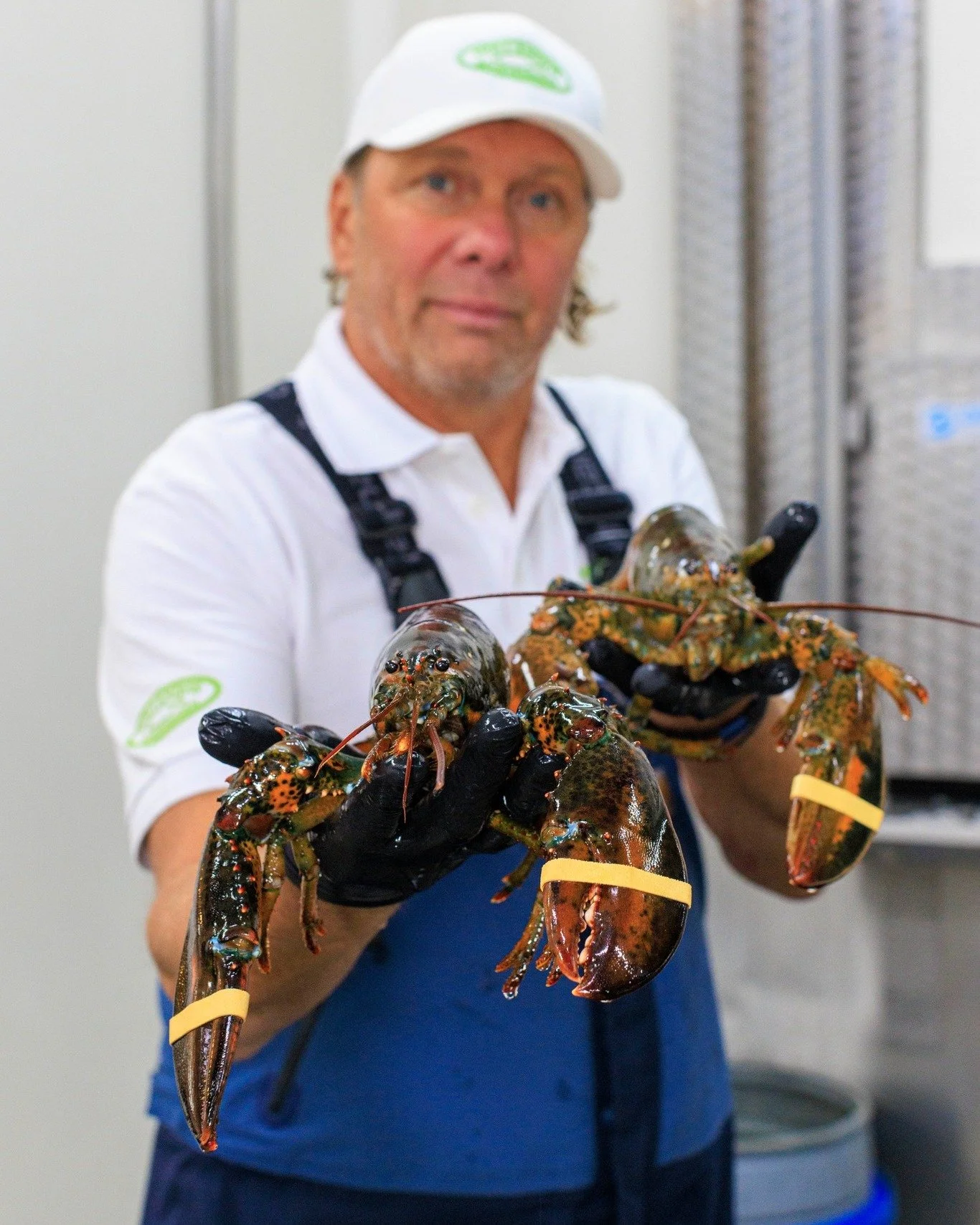 𝐊𝐫𝐞𝐞𝐟𝐭 🦞

#hollandvis #hollandvisscheveningen #noordzeevis #vis #vishandel #groothandel #scheveningen #duurzamevis #visrecepten