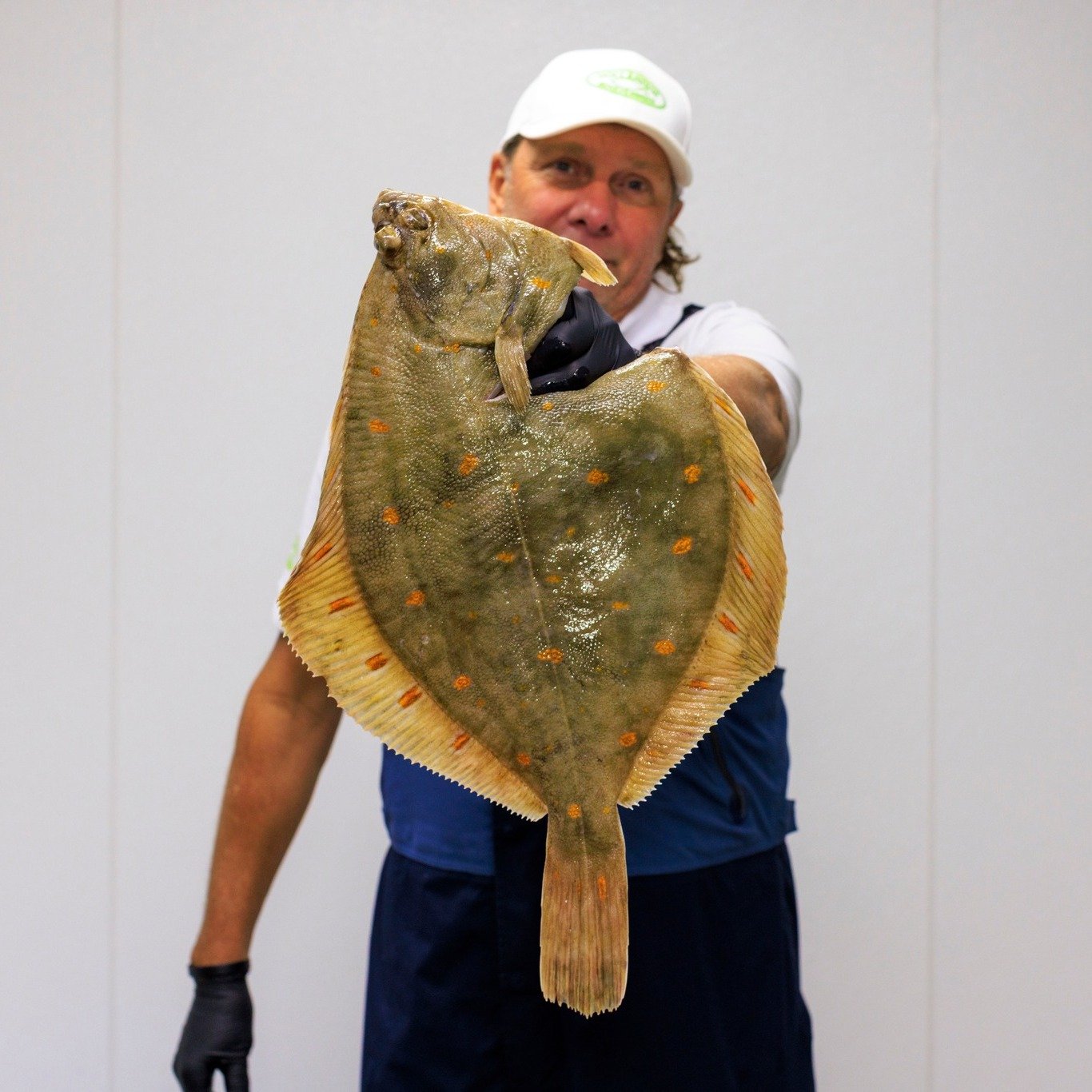 𝐒𝐜𝐡𝐨𝐥 𝐢𝐬 𝐞𝐞𝐧 𝐦𝐚𝐠𝐞𝐫𝐞, 𝐦𝐢𝐥𝐝 𝐬𝐦𝐚𝐤𝐞𝐧𝐝𝐞 𝐩𝐥𝐚𝐭𝐯𝐢𝐬.
De donkere zijde is bruin tot donkergroen met oranjerode stippen. Kleine exemplaren worden vaak panklaar verkocht, van grotere schollen gebruiken we meestal de filets.

#h