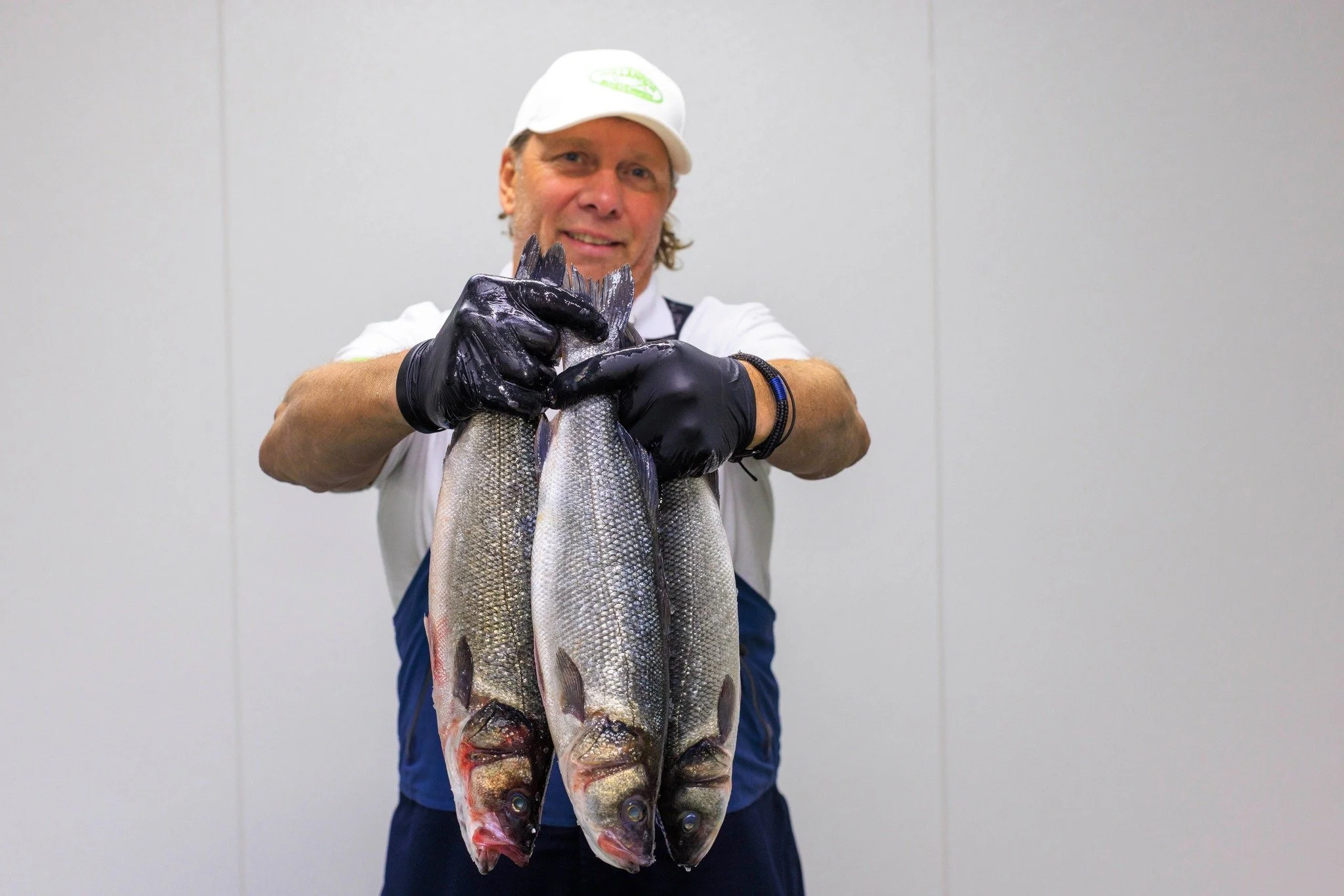 𝐖𝐢𝐥𝐝𝐞 𝐳𝐞𝐞𝐛𝐚𝐚𝐫𝐬 😃

#hollandvis #hollandvisscheveningen #noordzeevis #vis #vishandel #groothandel #scheveningen #duurzamevis #visrecepten