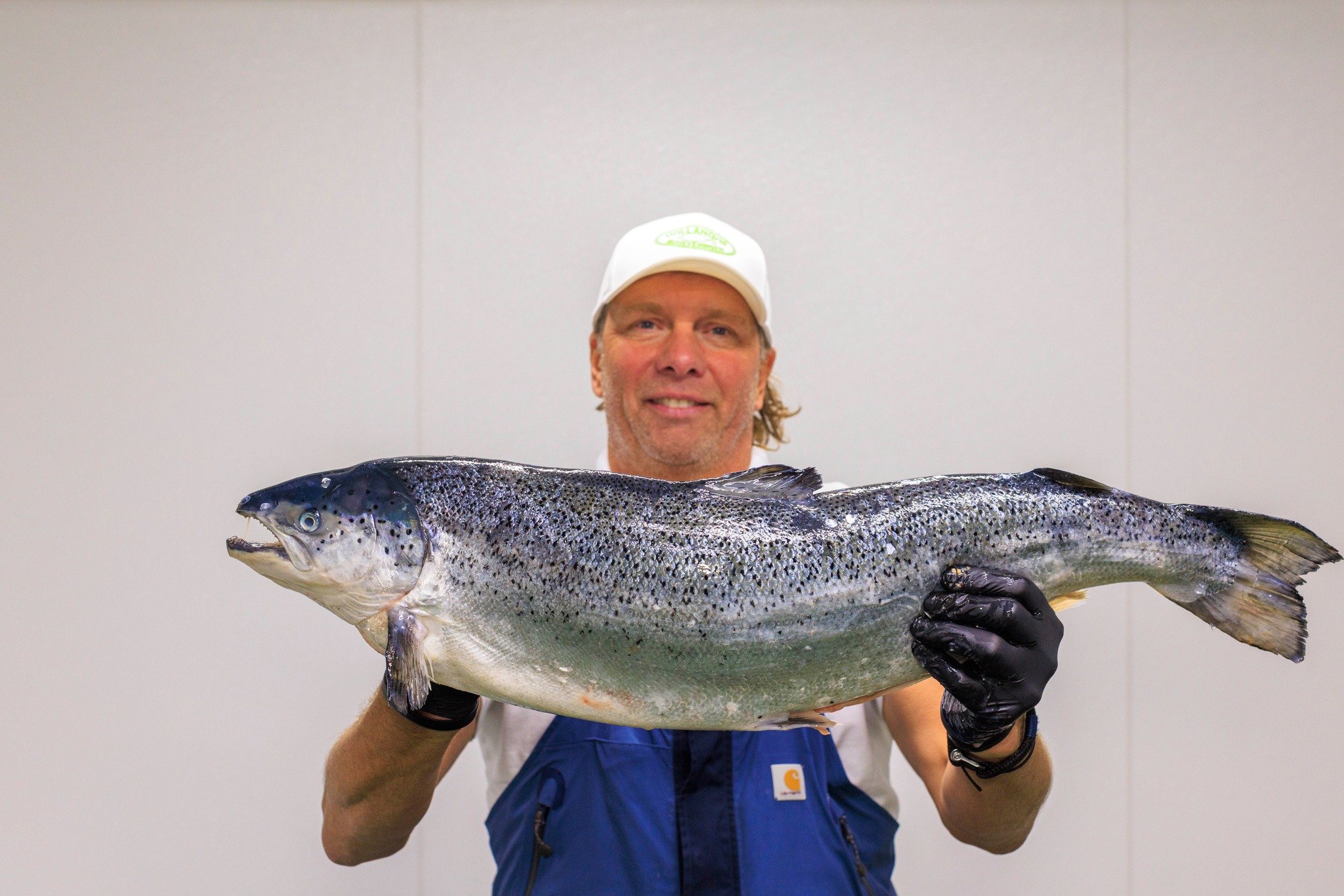 𝐍𝐨𝐨𝐫𝐬𝐞 𝐳𝐚𝐥𝐦
In Europa is de zalm die wij vers of gerookt eten vrijwel altijd Atlantische zalm (Salmo salar). Deze soort komt van oorsprong uit de Atlantische Oceaan en uit rivieren in Noord Amerika, Europa en rond de Baltische staten.

De A