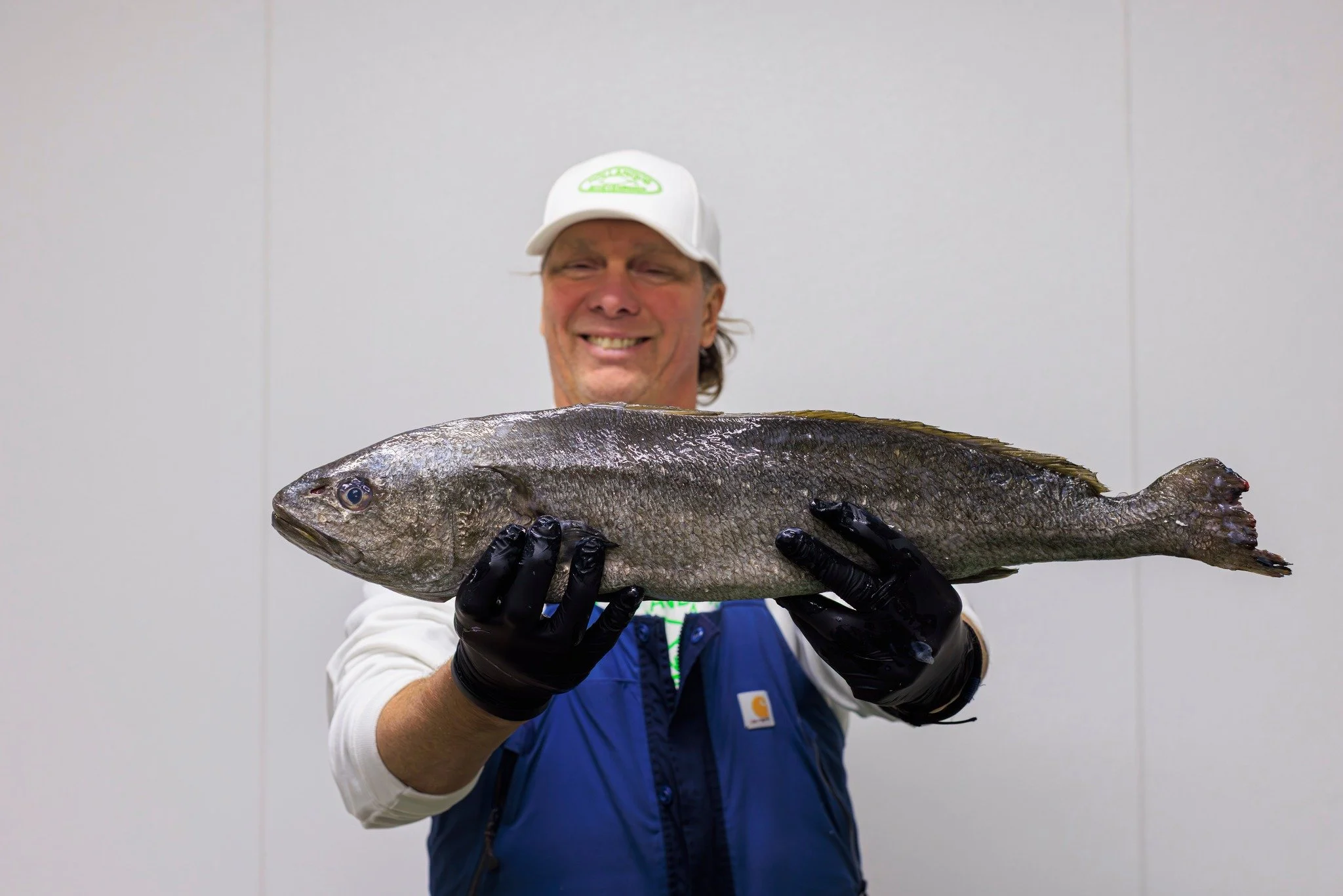 𝐂𝐨𝐫𝐯𝐢𝐧𝐚, 𝐠𝐫𝐨𝐨𝐭, 𝐯𝐞𝐫𝐬 𝐞𝐧 𝐯𝐨𝐥 𝐯𝐚𝐧 𝐬𝐦𝐚𝐚𝐤 🐟

#hollandvis #hollandvisscheveningen #noordzeevis #vis #vishandel #groothandel #scheveningen #duurzamevis #visrecepten