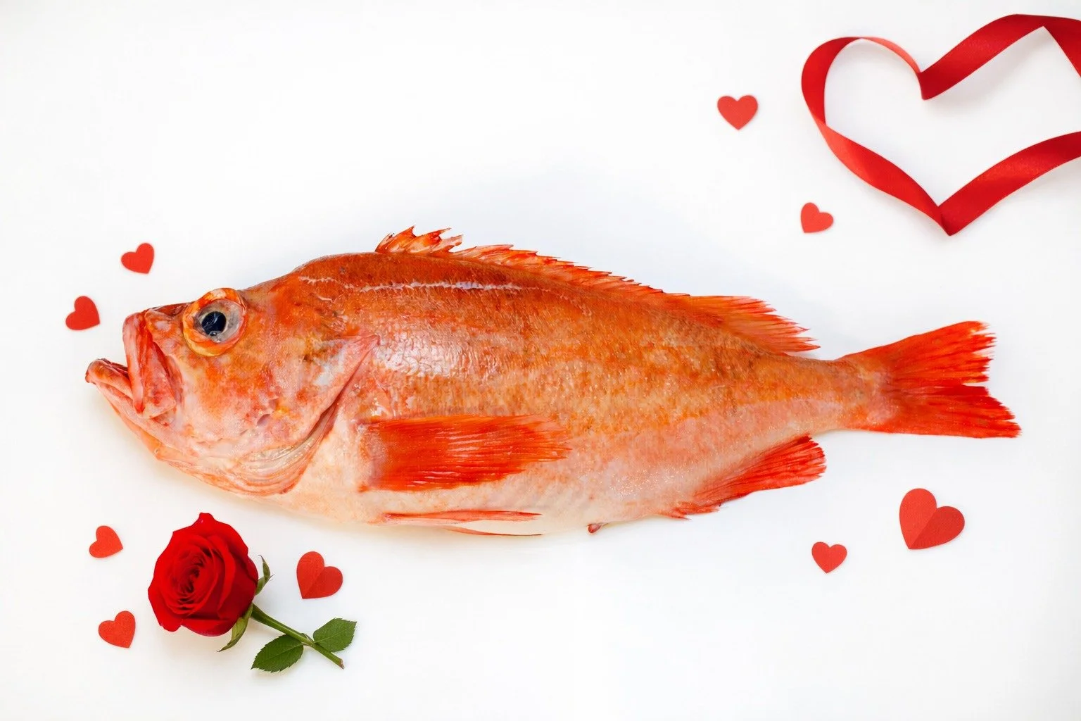 ❤️ 𝐋𝐢𝐞𝐟𝐝𝐞 𝐠𝐚𝐚𝐭 𝐨𝐨𝐤 𝐝𝐨𝐨𝐫 𝐝𝐞 𝐦𝐚𝐚𝐠 ❤️
Volgende week zaterdag is het zover!
Bestel je vis en garnalen tijdig en geef je wensen liefst voor vrijdag door. Zo zorgen wij voor verse kwaliteit, perfect voorbereid en op tijd geleverd 🐟 