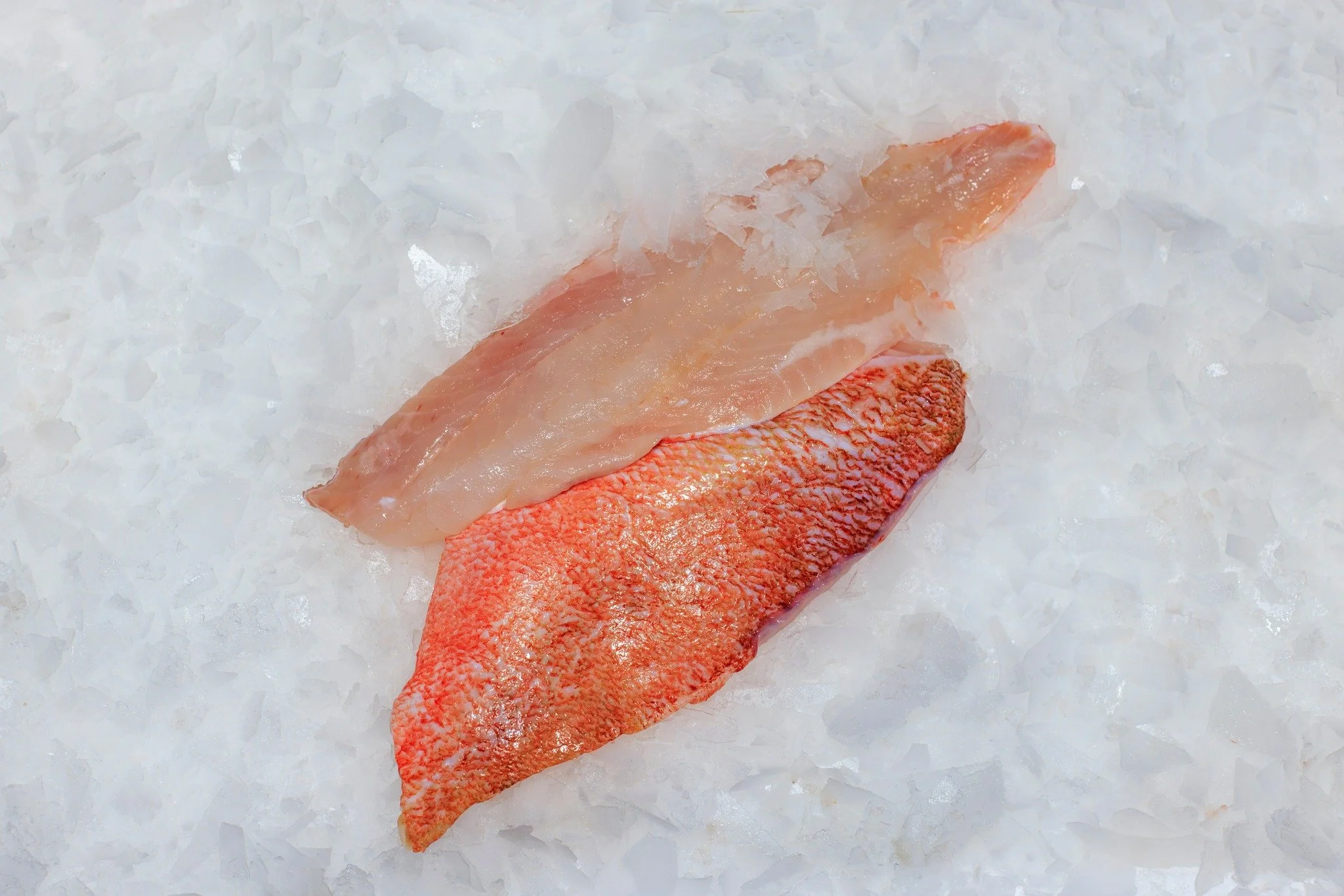 𝐑𝐨𝐨𝐝𝐛𝐚𝐚𝐫𝐬𝐟𝐢𝐥𝐞𝐭 🐟

#hollandvis #hollandvisscheveningen #noordzeevis #vis #vishandel #groothandel #scheveningen #duurzamevis #visrecepten