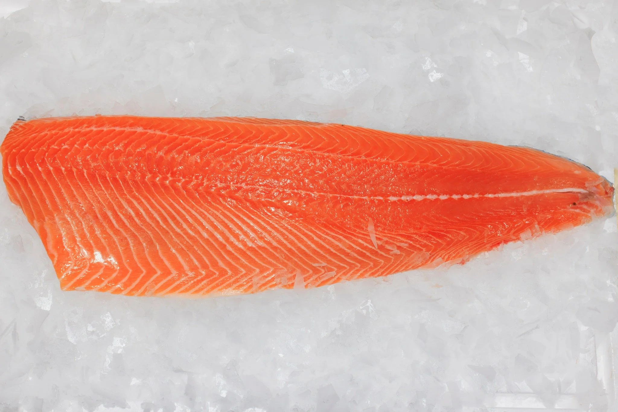 𝐍𝐨𝐨𝐫𝐬𝐞 𝐳𝐚𝐥𝐦𝐳𝐢𝐣𝐝𝐞 🐟

#hollandvis #hollandvisscheveningen #noordzeevis #vis #vishandel #groothandel #scheveningen #duurzamevis #visrecepten