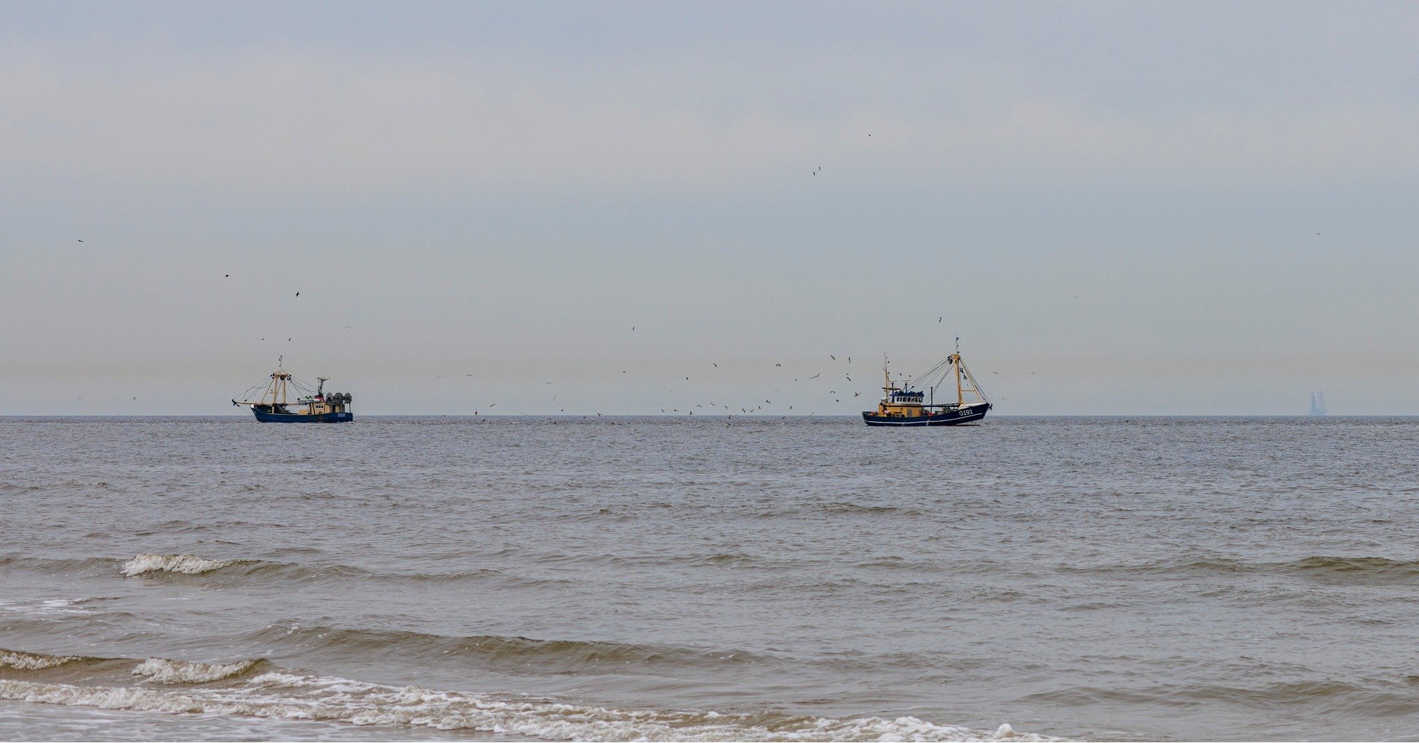 𝐕𝐢𝐬𝐬𝐞𝐫𝐢𝐣 𝐯𝐨𝐨𝐫 𝐝𝐞 𝐤𝐮𝐬𝐭 𝐯𝐚𝐧 𝐒𝐜𝐡𝐞𝐯𝐞𝐧𝐢𝐧𝐠𝐞𝐧 🐟

#hollandvis #hollandvisscheveningen #noordzeevis #vis #vishandel #groothandel #scheveningen #duurzamevis #visrecepten