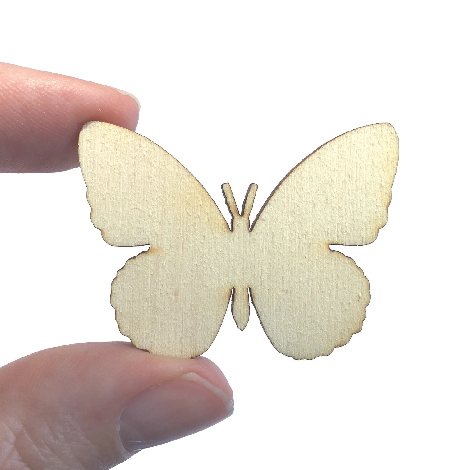 Butterfly Pin — The Paper \u0026 Wood Co 