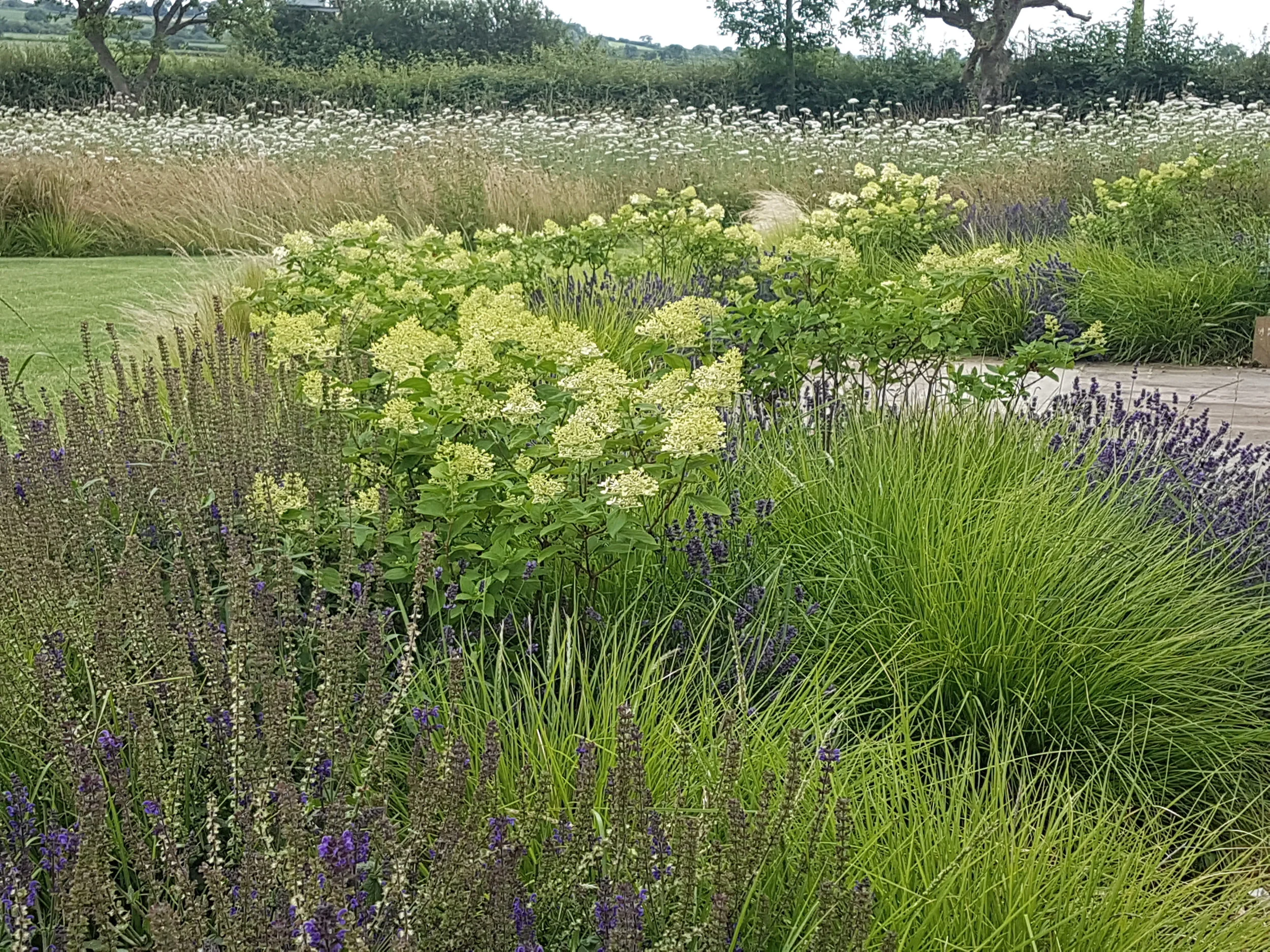 Redmile borders7.jpg