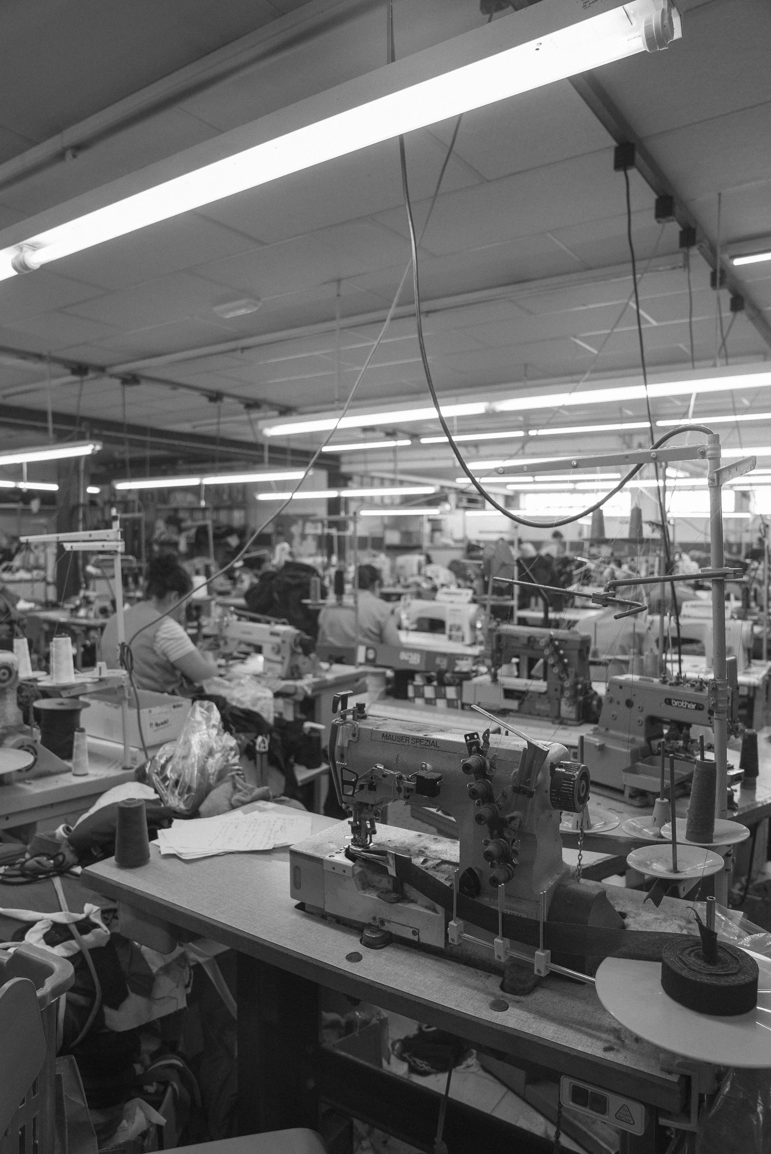 DSC00903BW.jpg