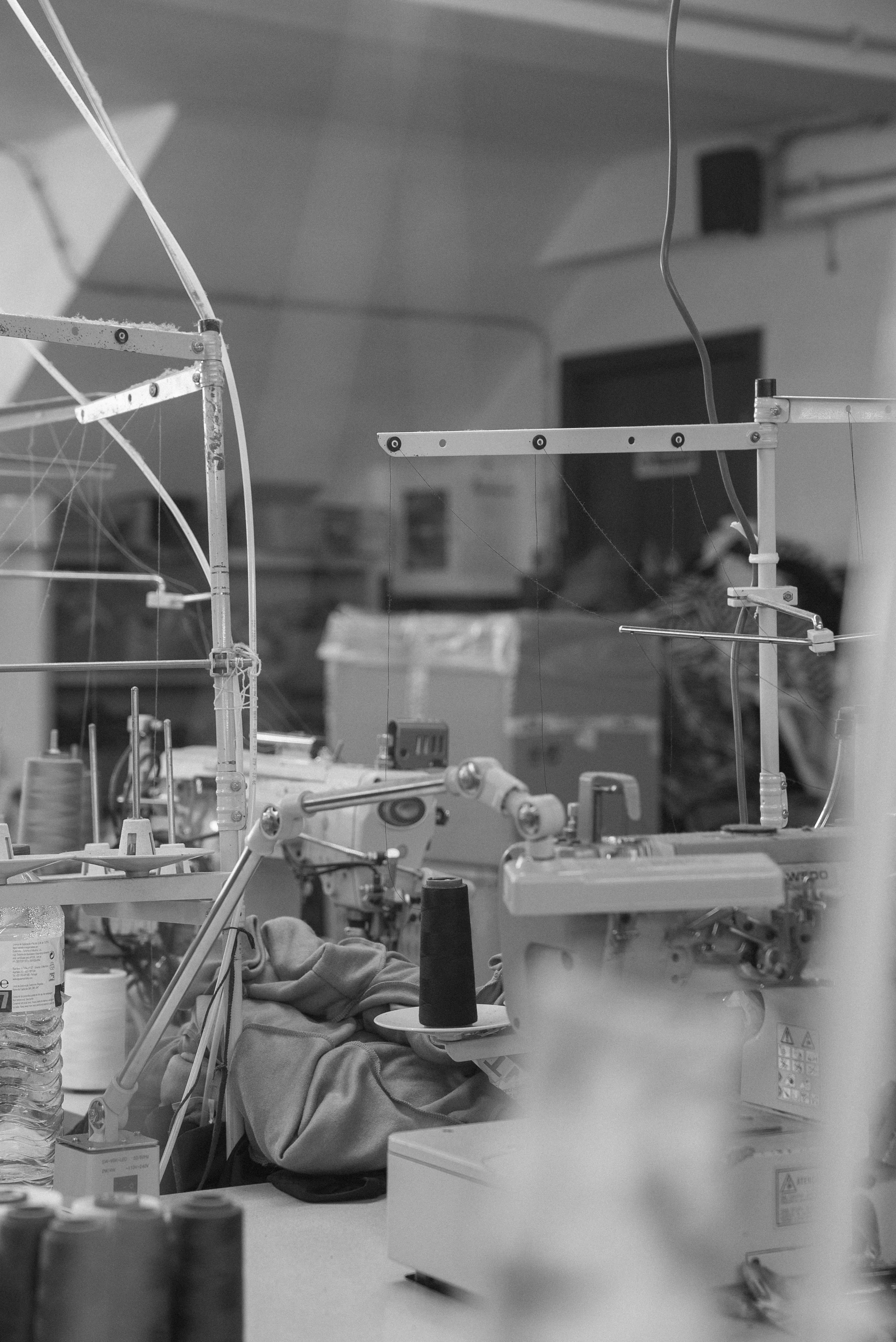 DSC00958BW.jpg