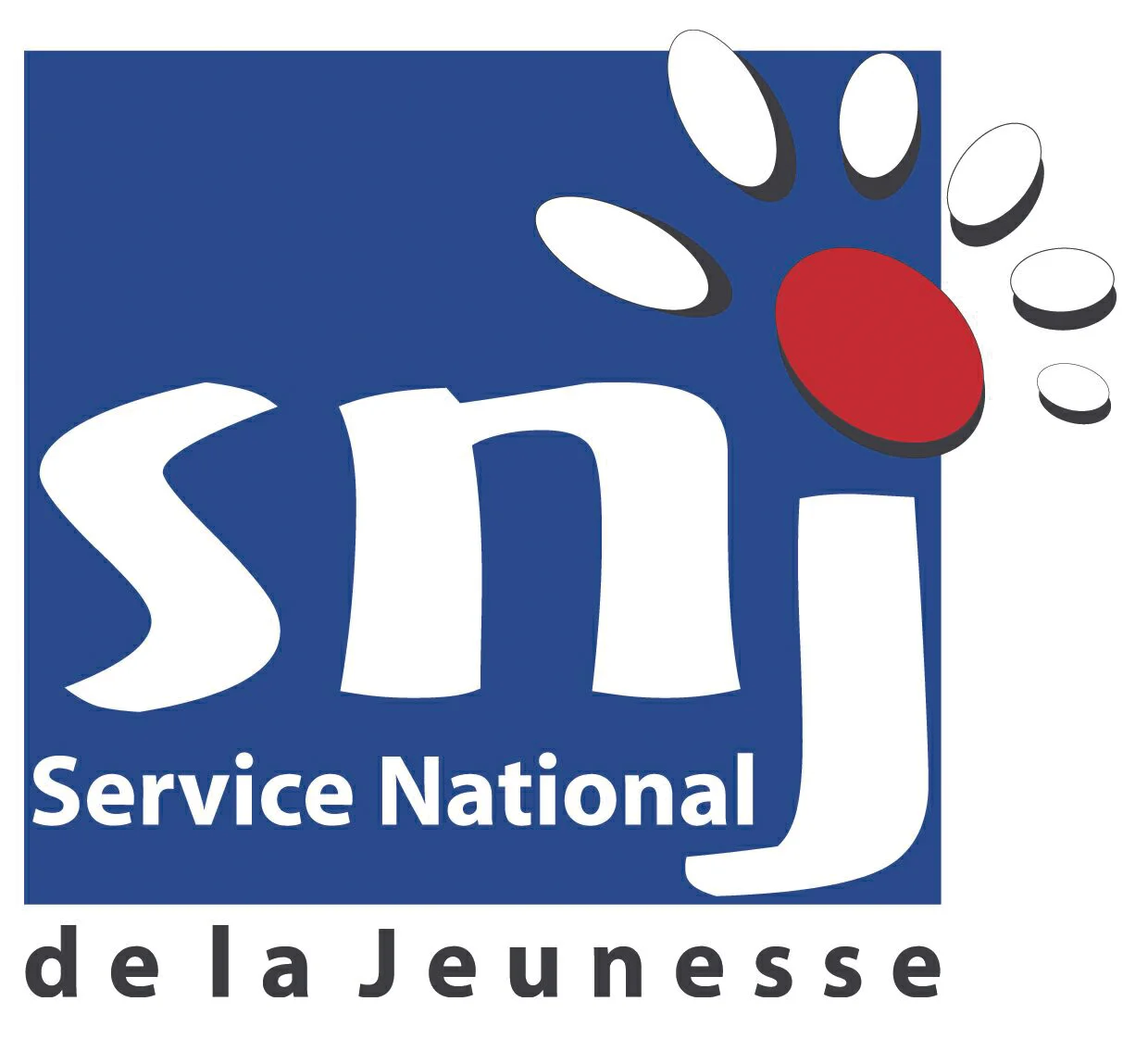 SNJ - REMISE DES BREVETS