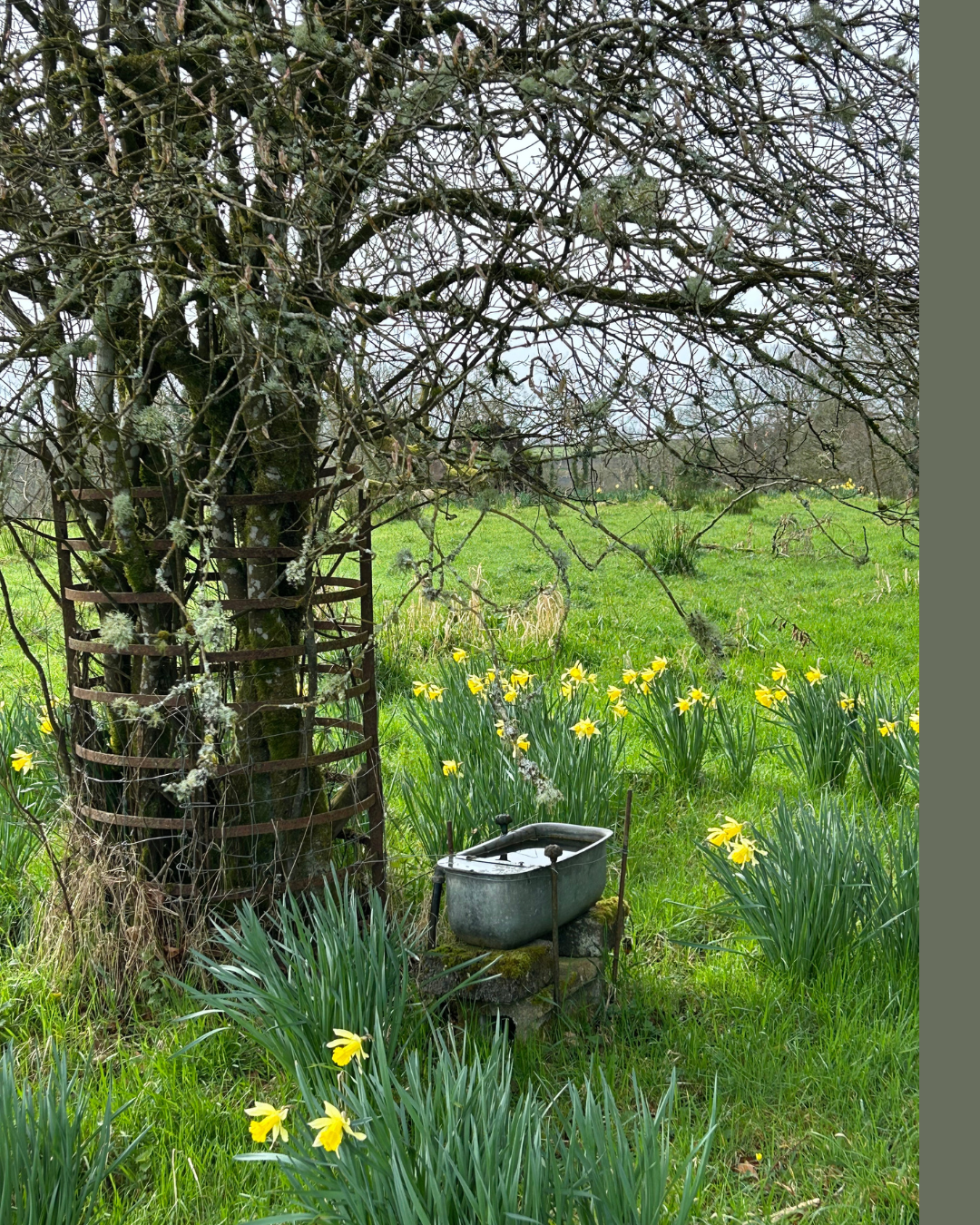 Artist-retreat-sligo-ireland-2026-7.png