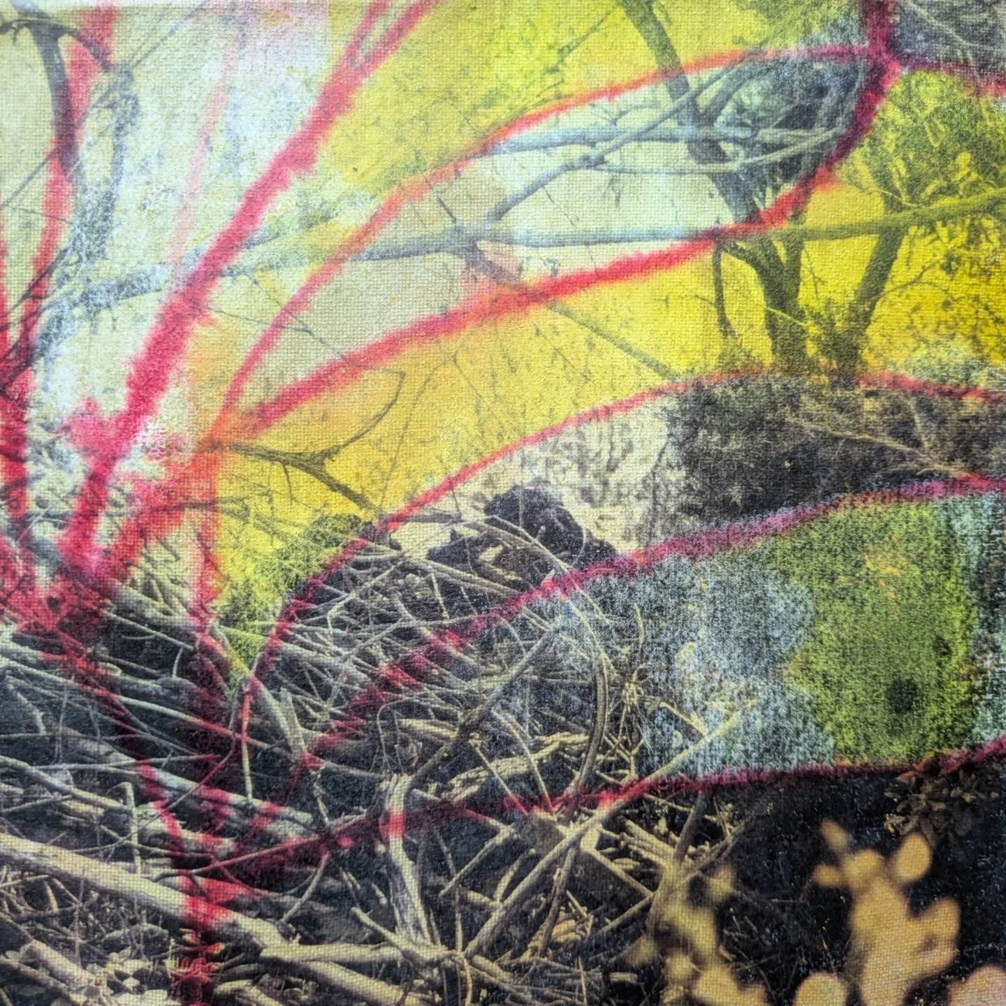 Overgrowth, local photos of the bog, ink, wax, watercolor....it's all there... #experiment 
.
.
#rauschenberg #IrishArt #irisharchitecture #TracySweeneyArtist