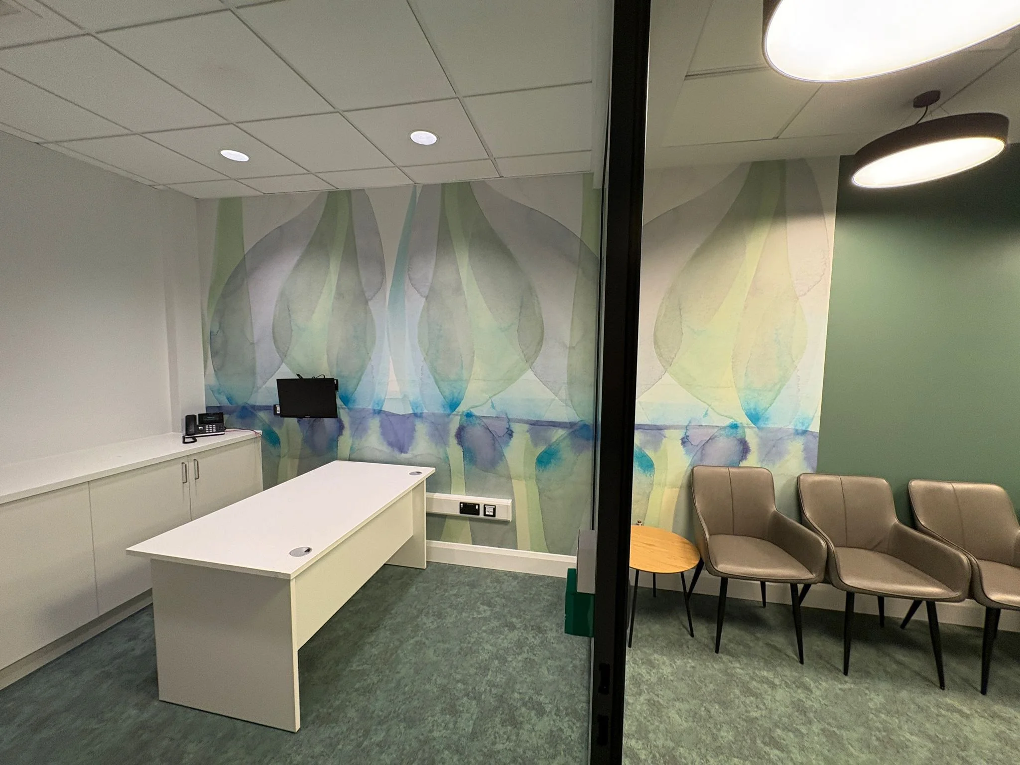 Soft Anatomies artwork by Tracy Sweeney in a consultation and waiting area at the Clinical Services Hub, Ballysimon, Limerick.