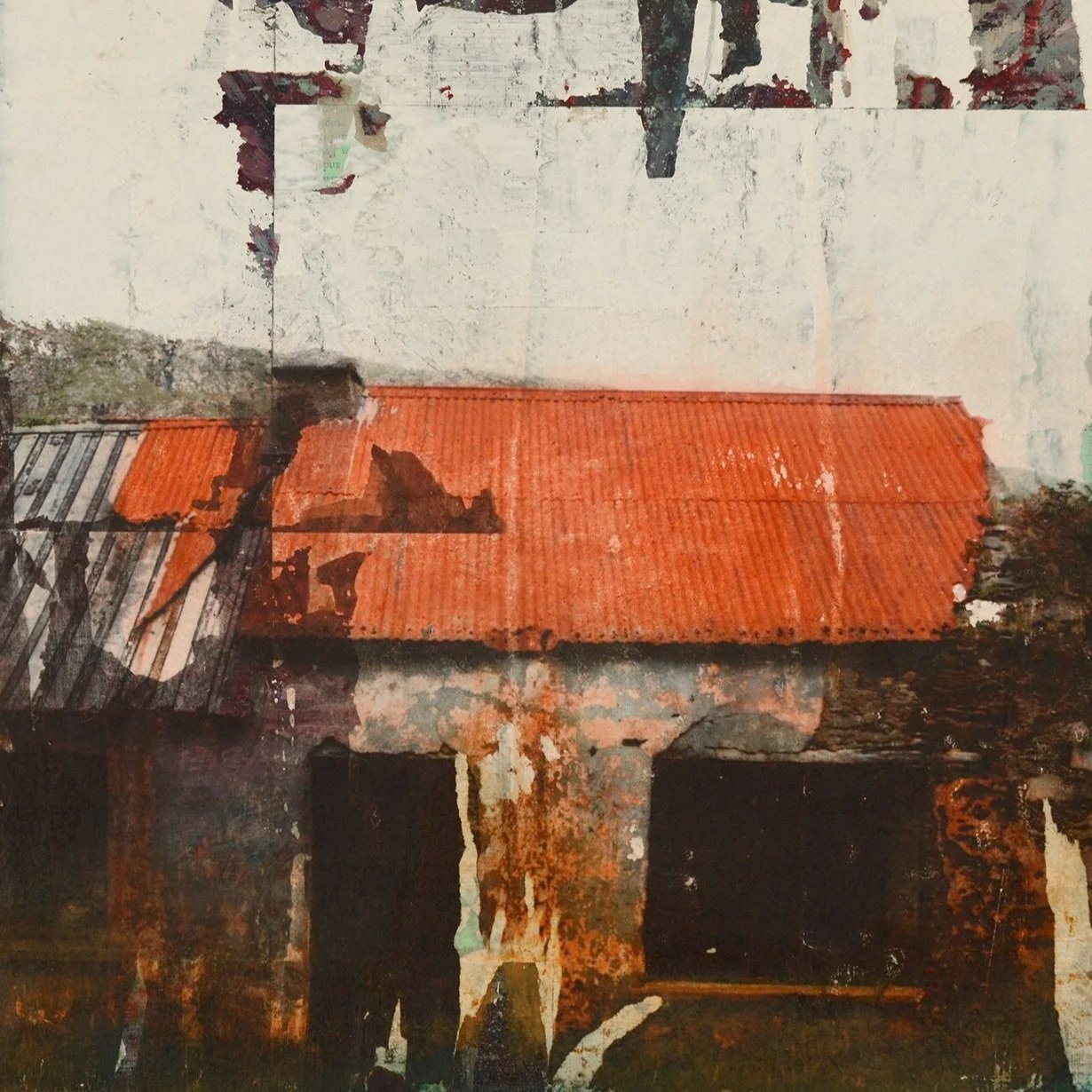 Whisper, a painting by Tracy Sweeney