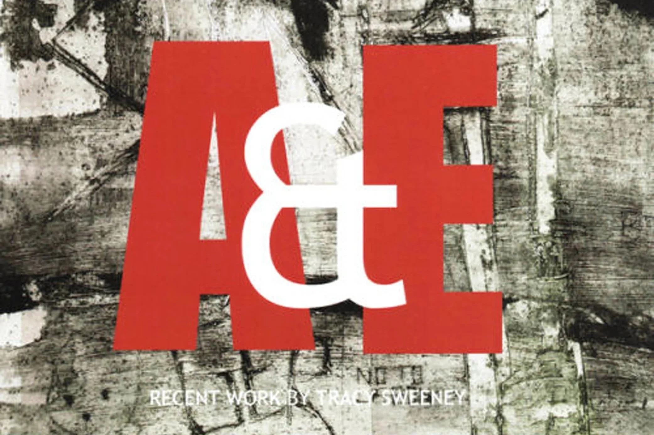 Artefact and Error, catalogue for Tracy Sweeney’s exhibition at Galway Arts Festival, 2009.