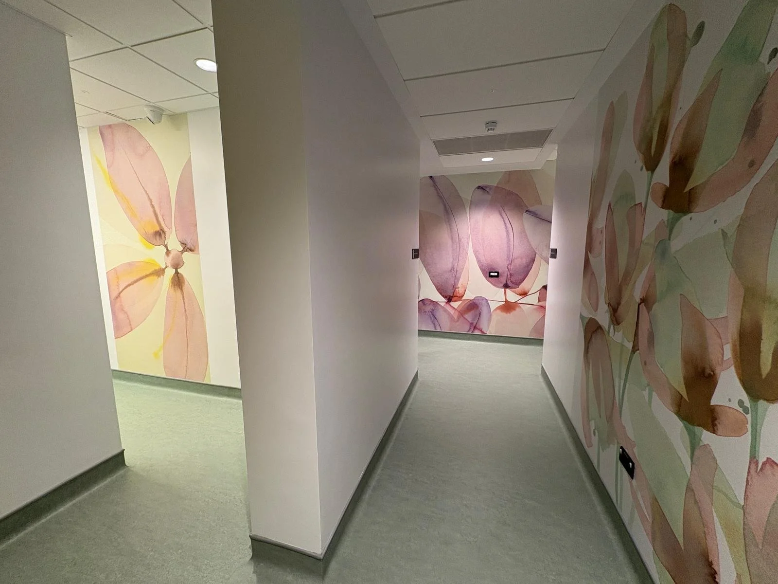 Image of three walls of Diagnostic Centre at a private hospital in Limerical Ireland, with the warms tones of botanical artwork on the corridor walls, matching the finishes such as flooring in this medical centre.