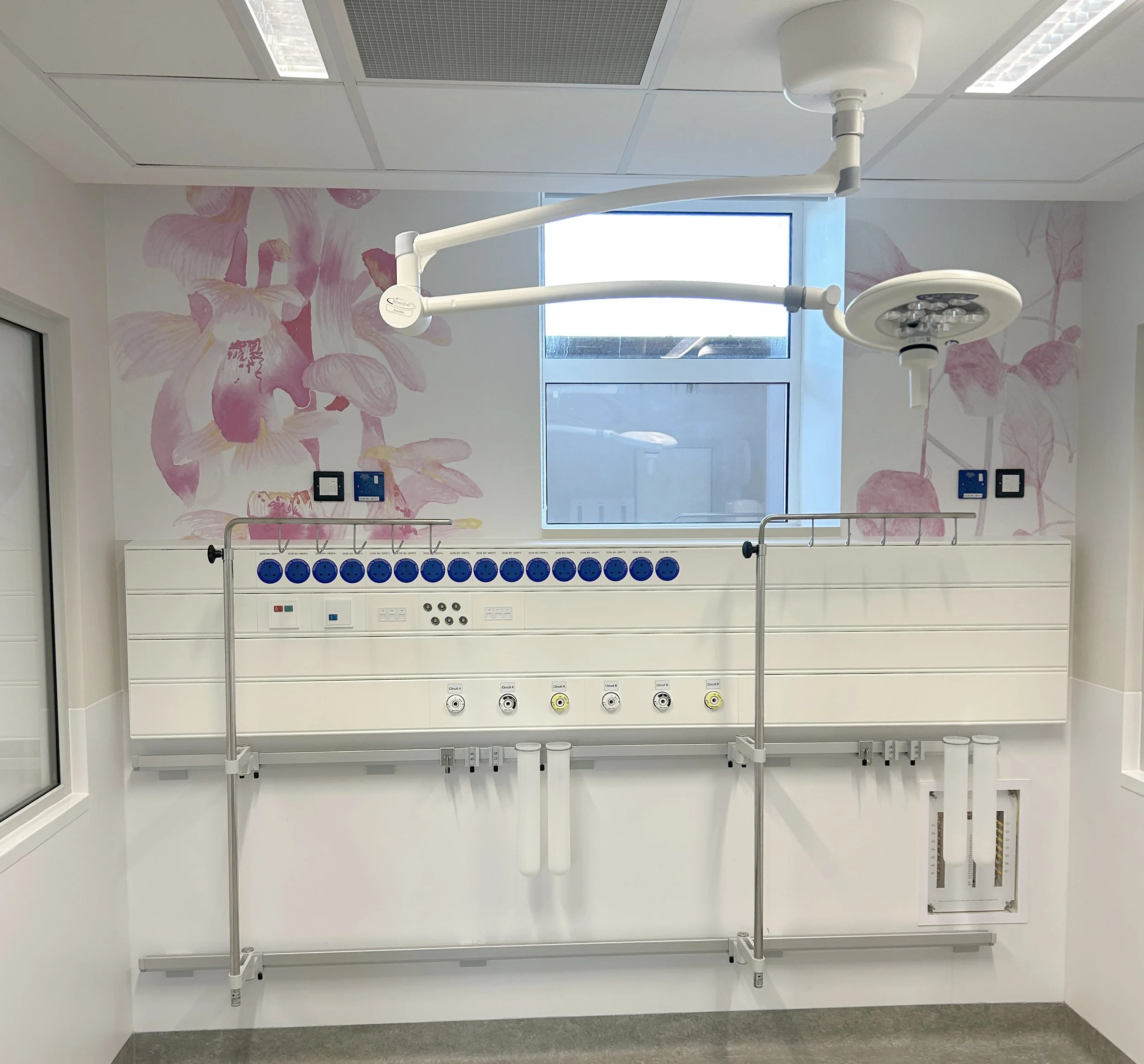 Early Purple Orchid watercolour by Tracy Sweeney installed in the Neonatal Intensive Care Unit at University Hospital Limerick
