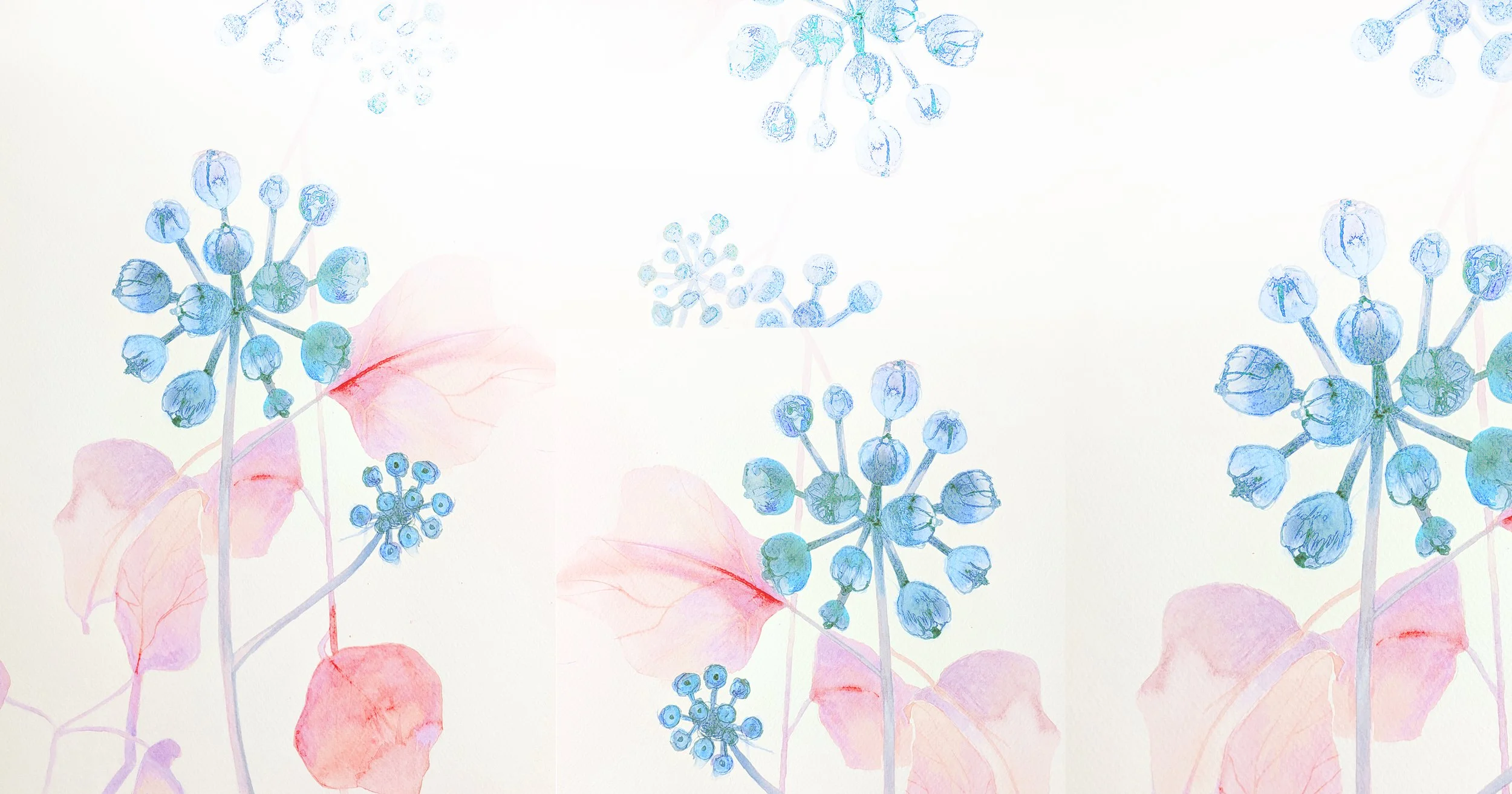 Rooted in Care, botanical artwork by Tracy Sweeney created for a critical care setting