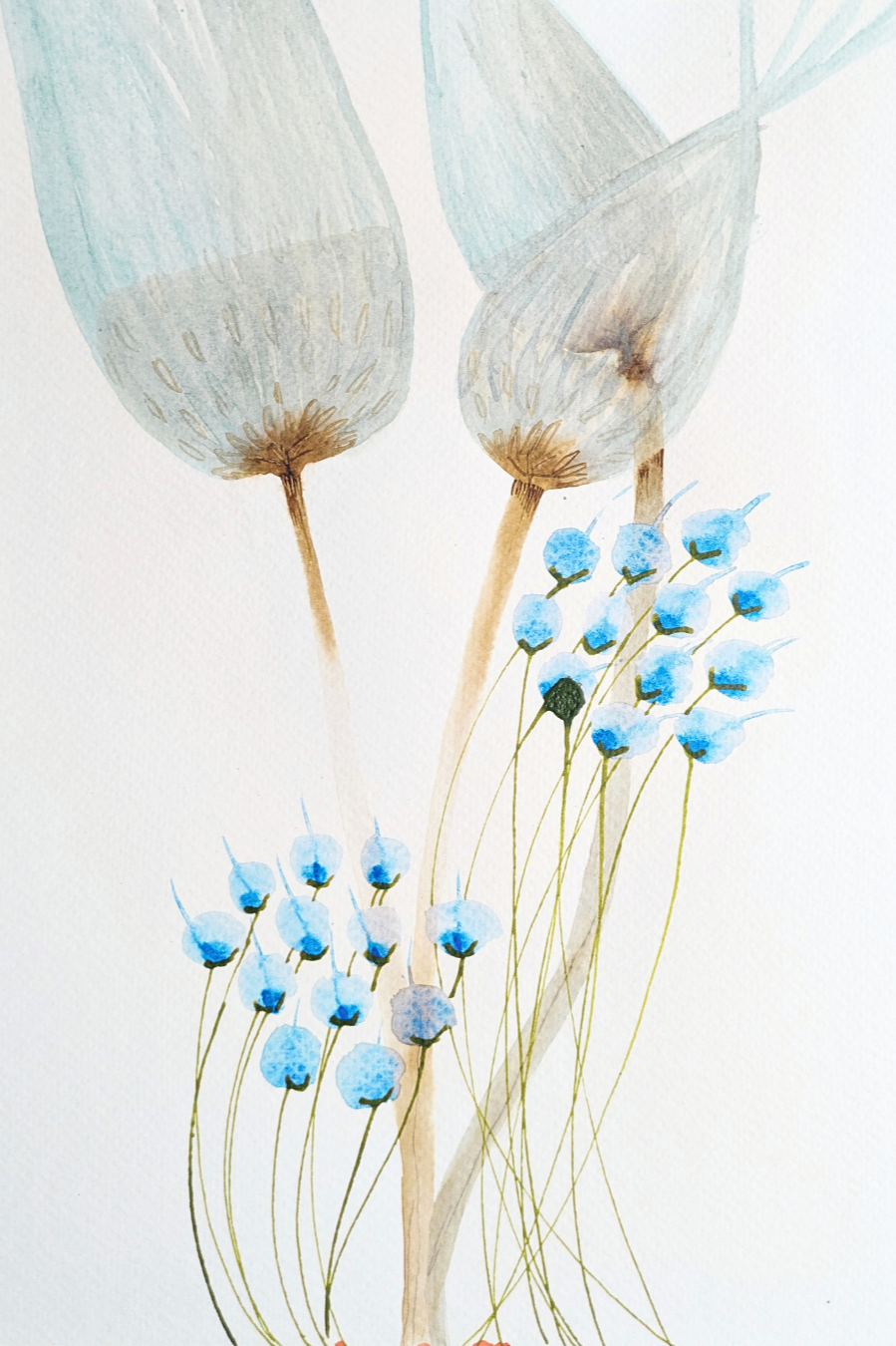 Bog cotton watercolour by Tracy Sweeney, part of the Rooted in Care series