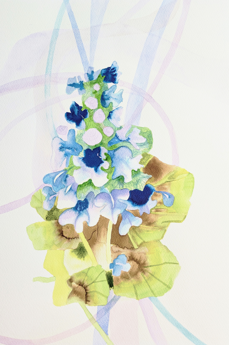 Detail of Bugle watercolour by Tracy Sweeney, part of the Rooted in Care series