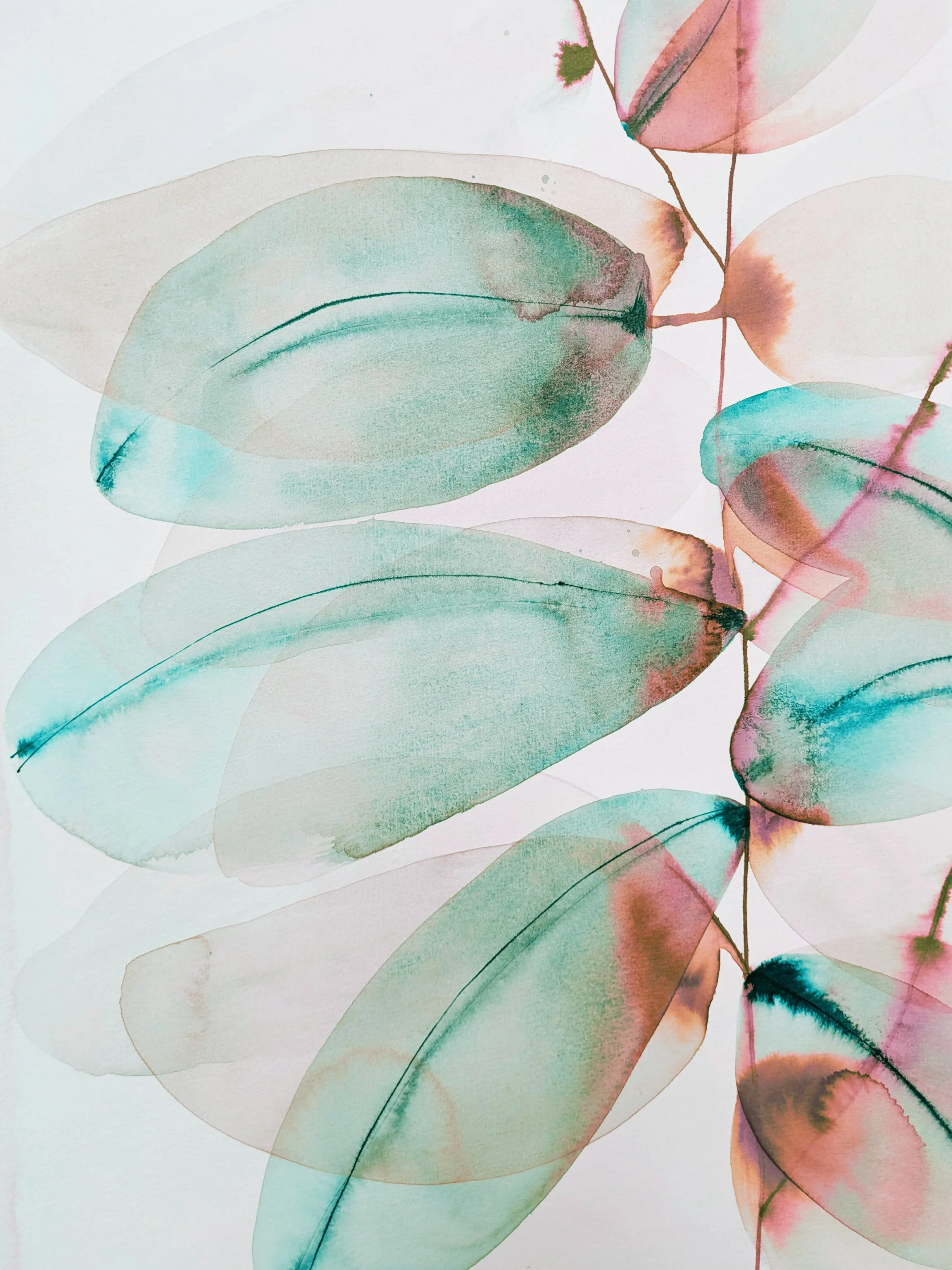 Soft Anatomies; Beneath the Surface, artwork by Tracy Sweeney inspired by diagnostic imaging and botanical forms