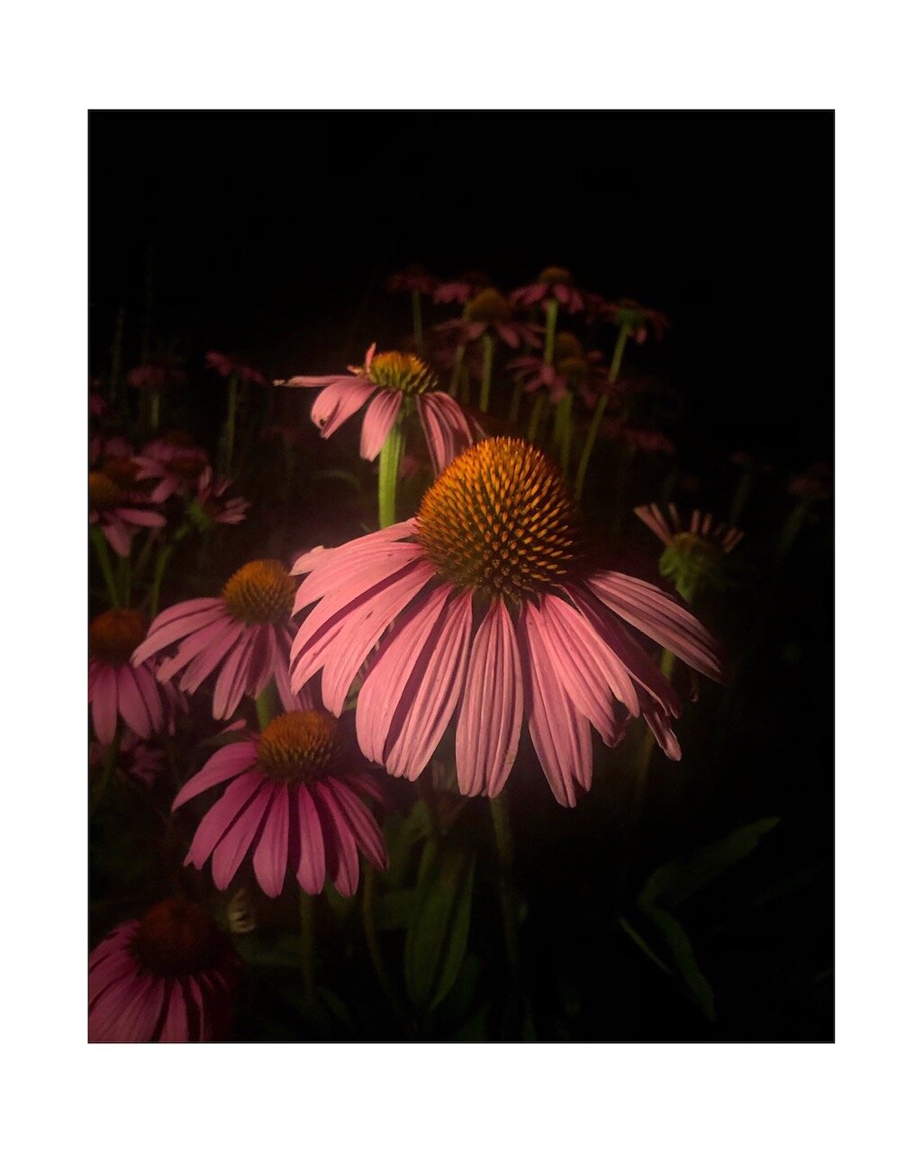 636E9D3E-E513-403D-BFD1-C1DA9D0BEE51.jpeg