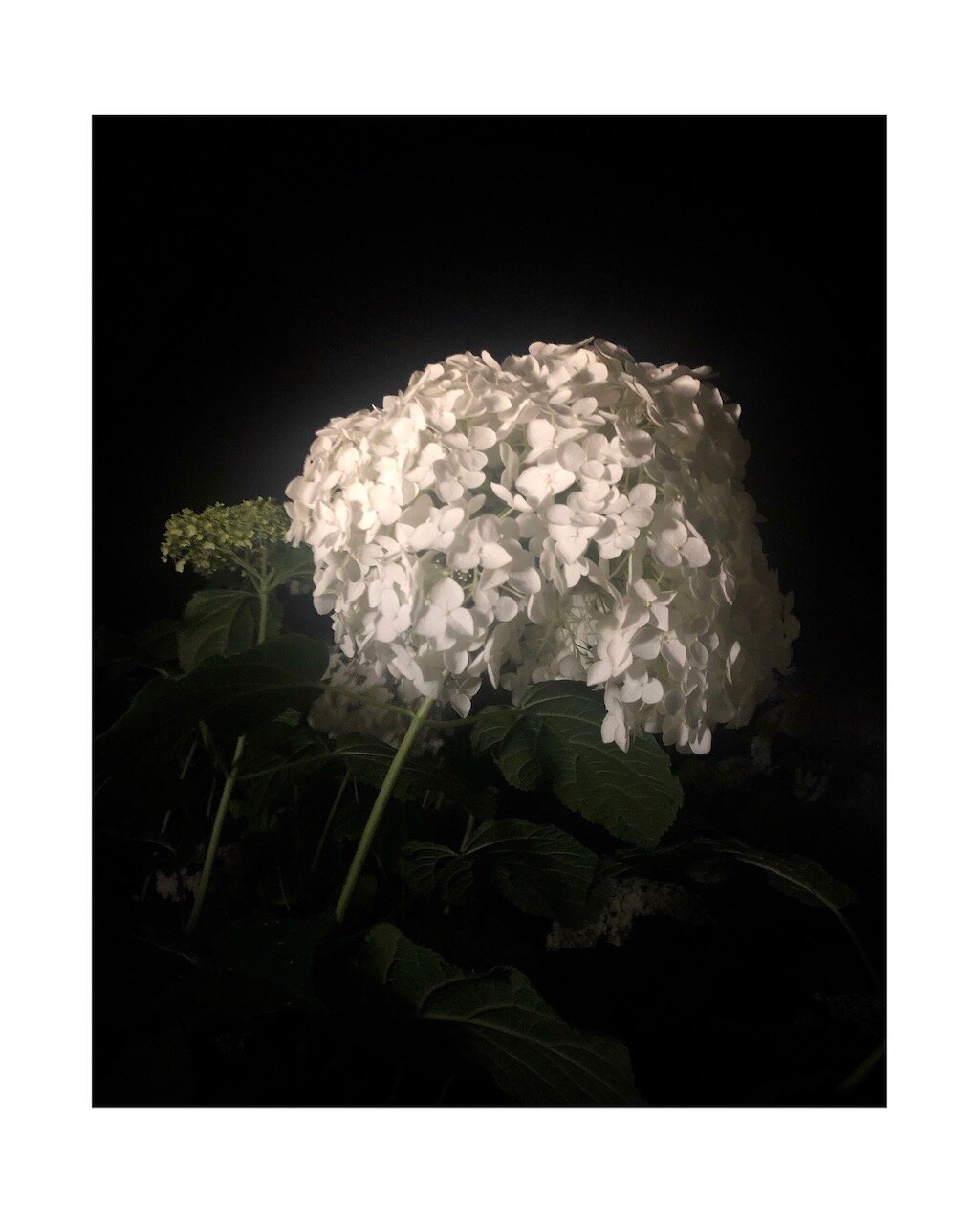 57465AE6-DA4A-4C9E-BD8B-666E9D4956D6.jpeg
